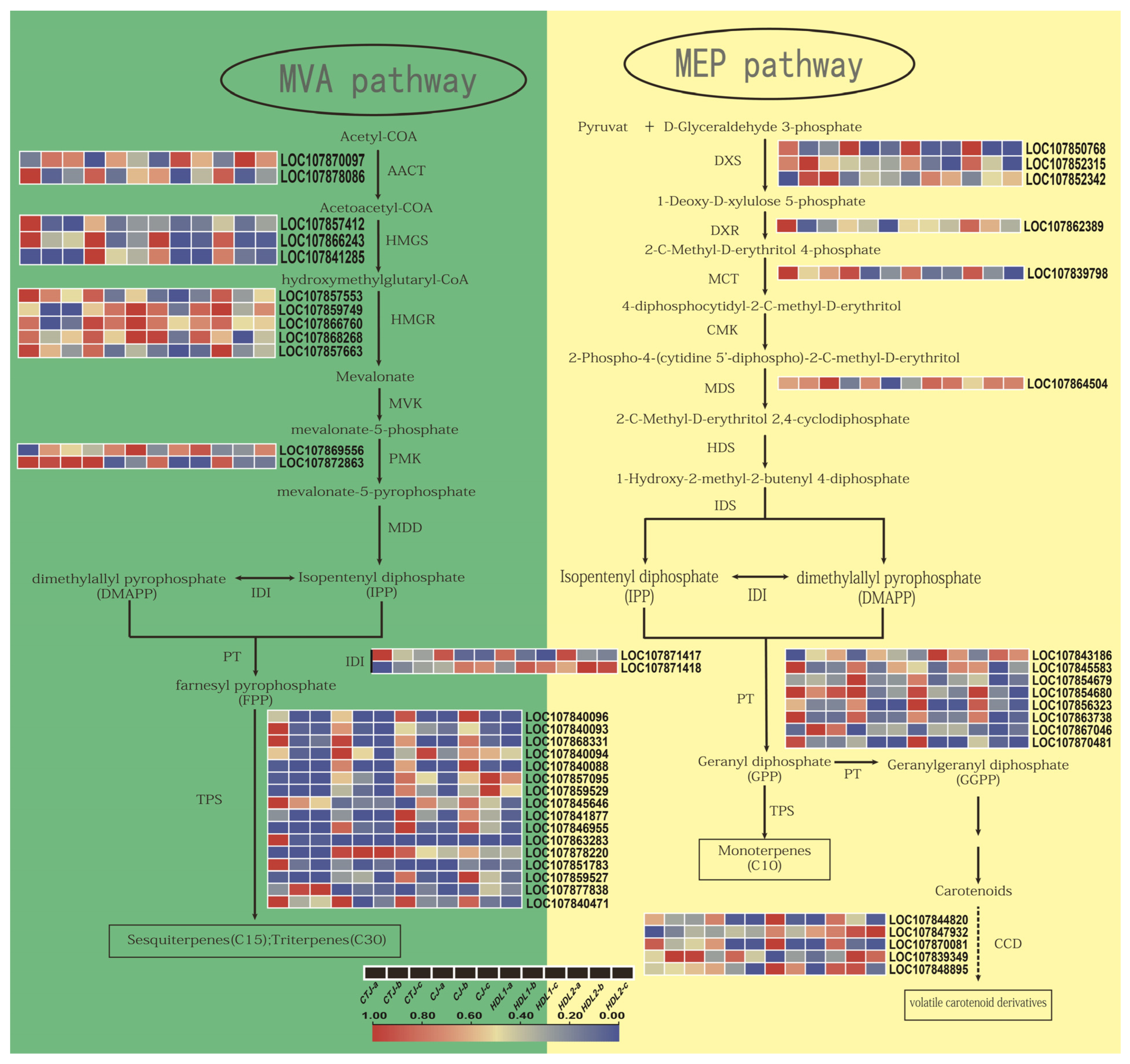 Ijms 24 07901 g007 Ijms 24 07901 g007