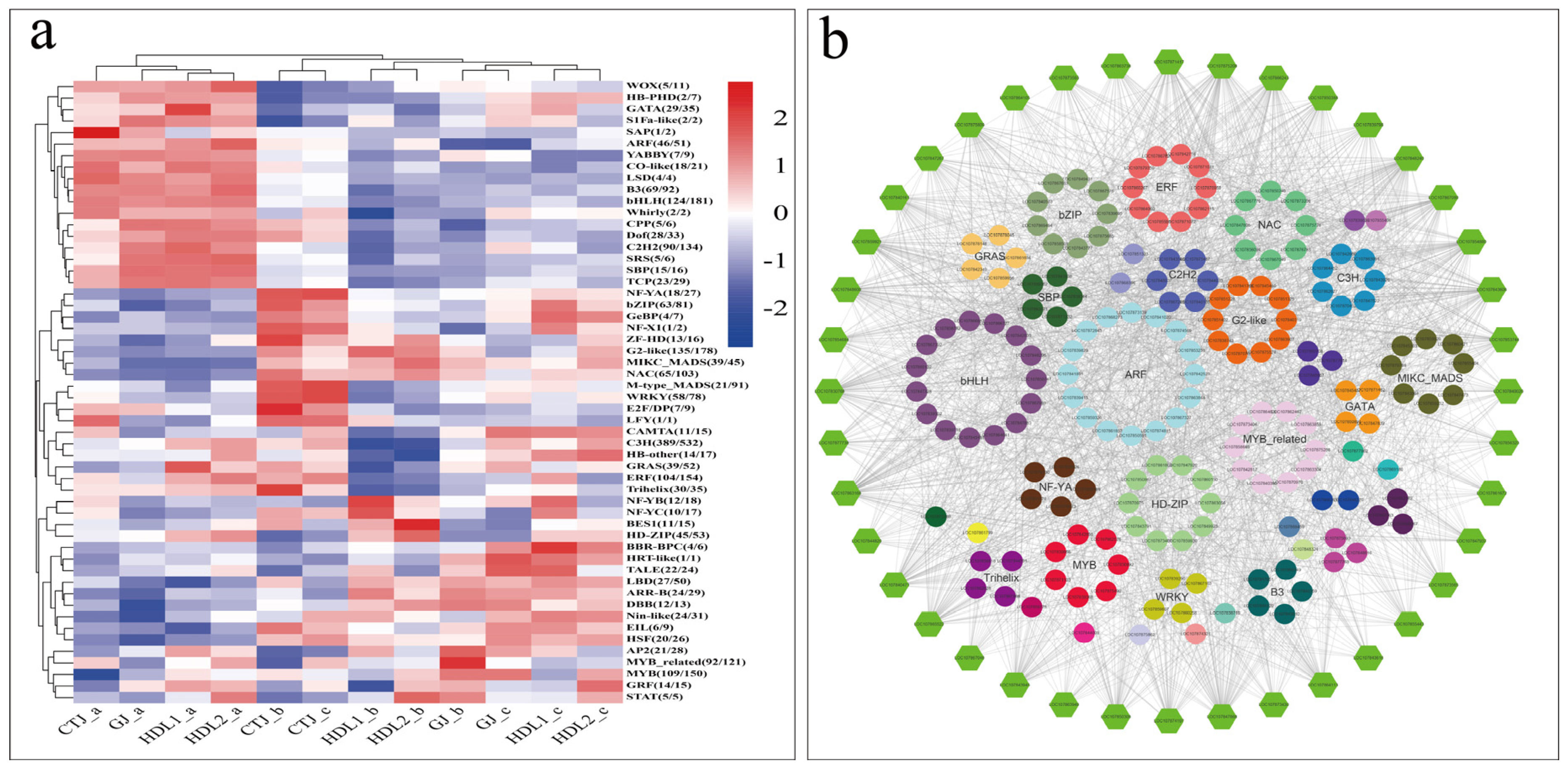 Ijms 24 07901 g008 Ijms 24 07901 g008