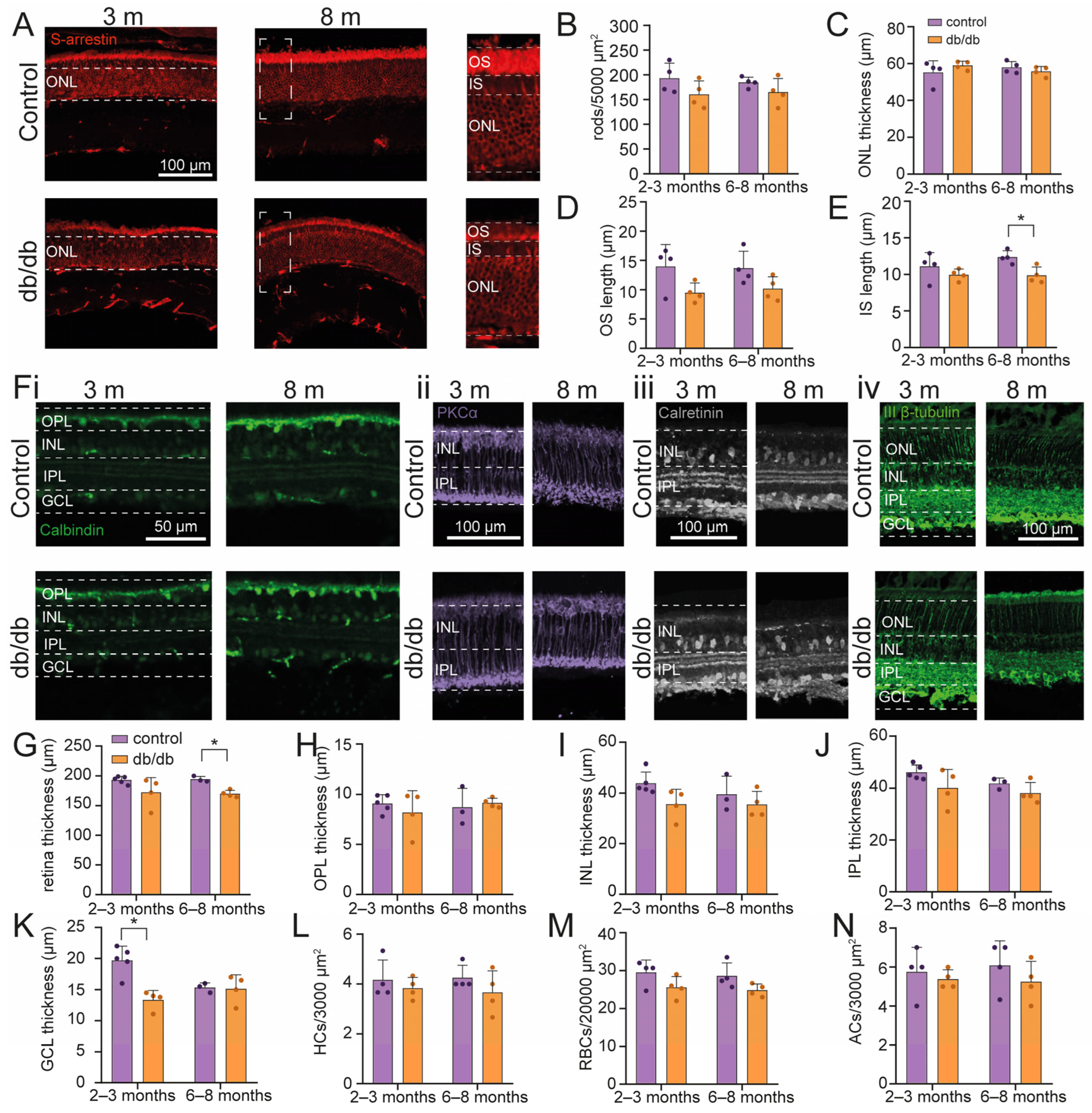 Ijms 24 07918 g001 Ijms 24 07918 g001