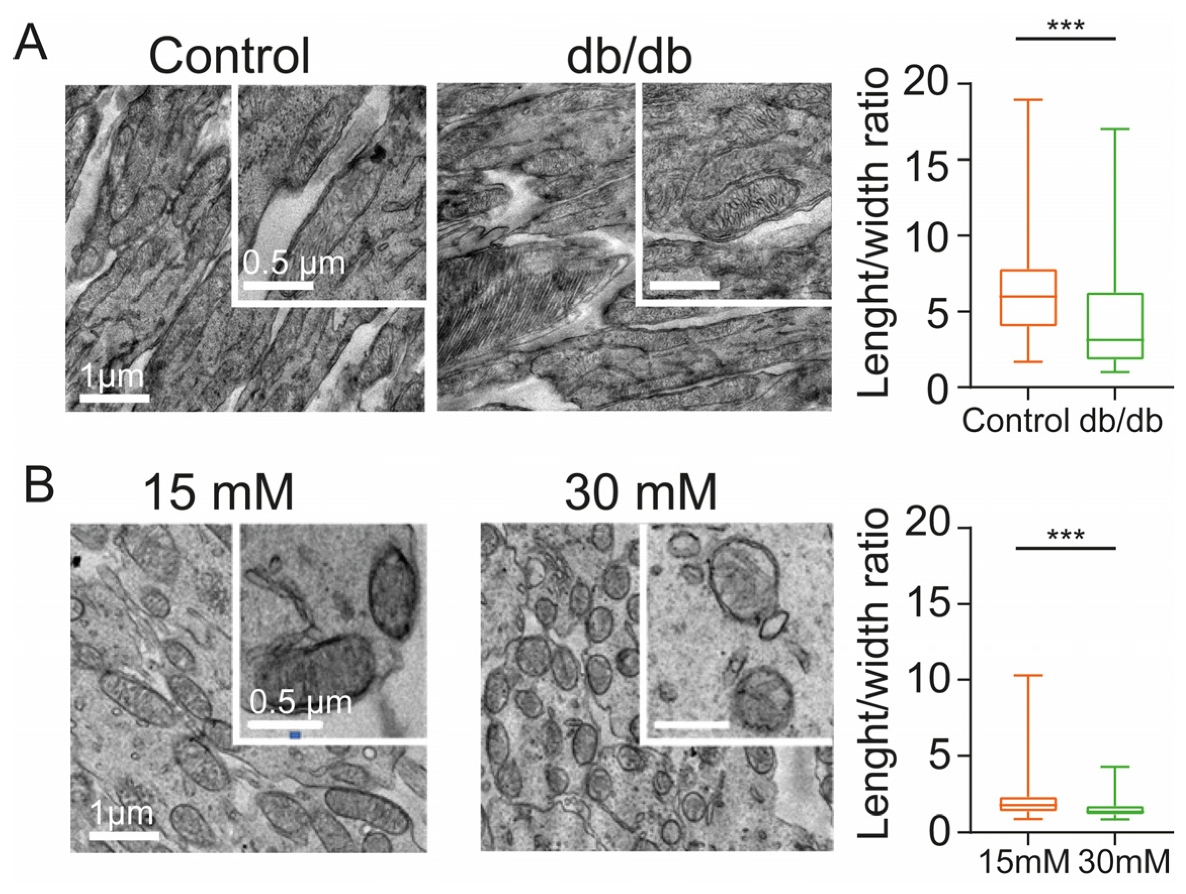 Ijms 24 07918 g002 Ijms 24 07918 g002
