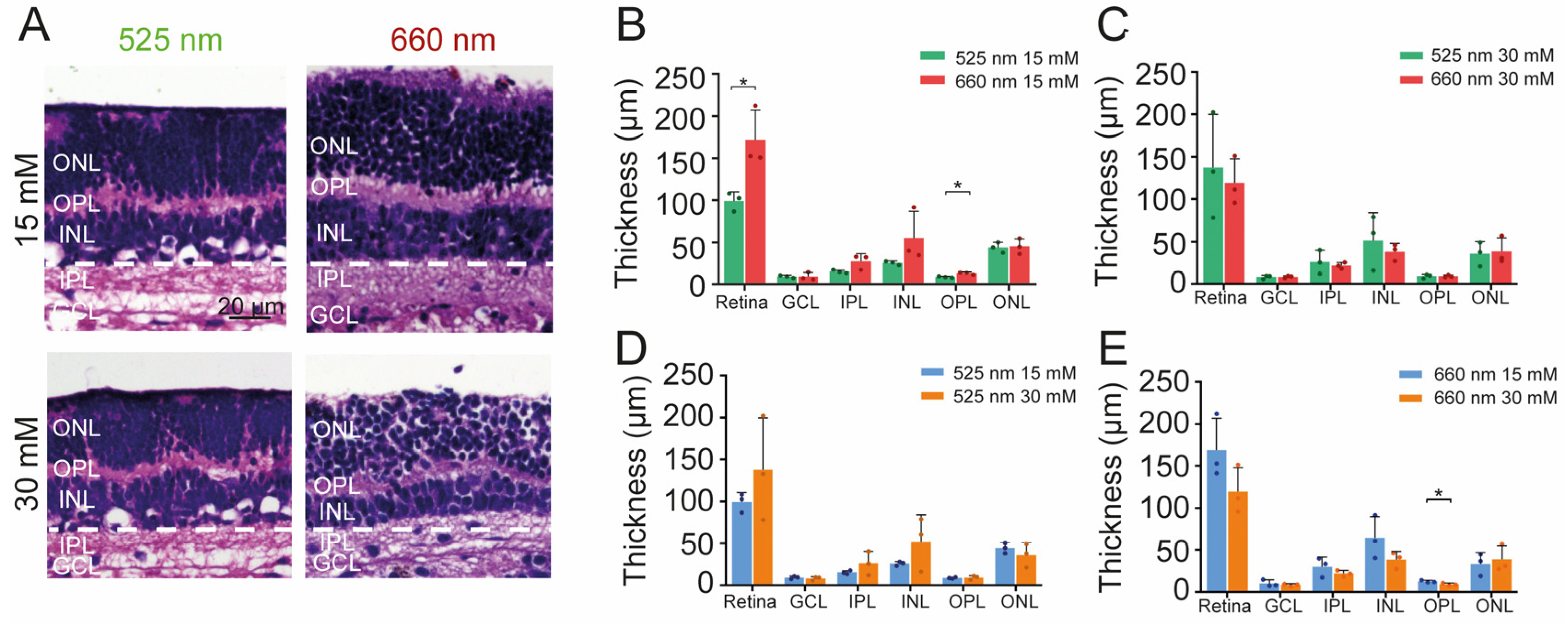 Ijms 24 07918 g004 Ijms 24 07918 g004