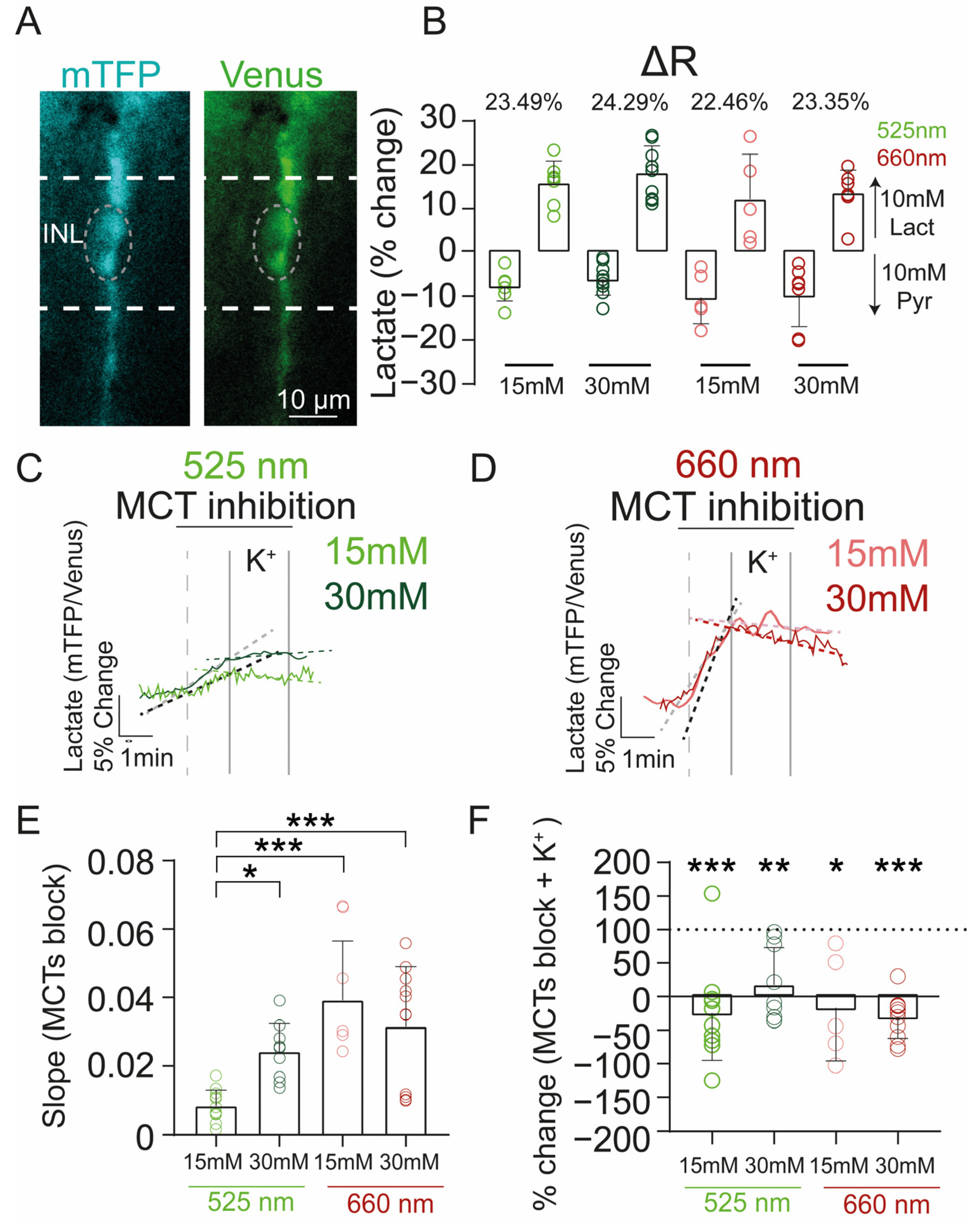 Ijms 24 07918 g005 Ijms 24 07918 g005