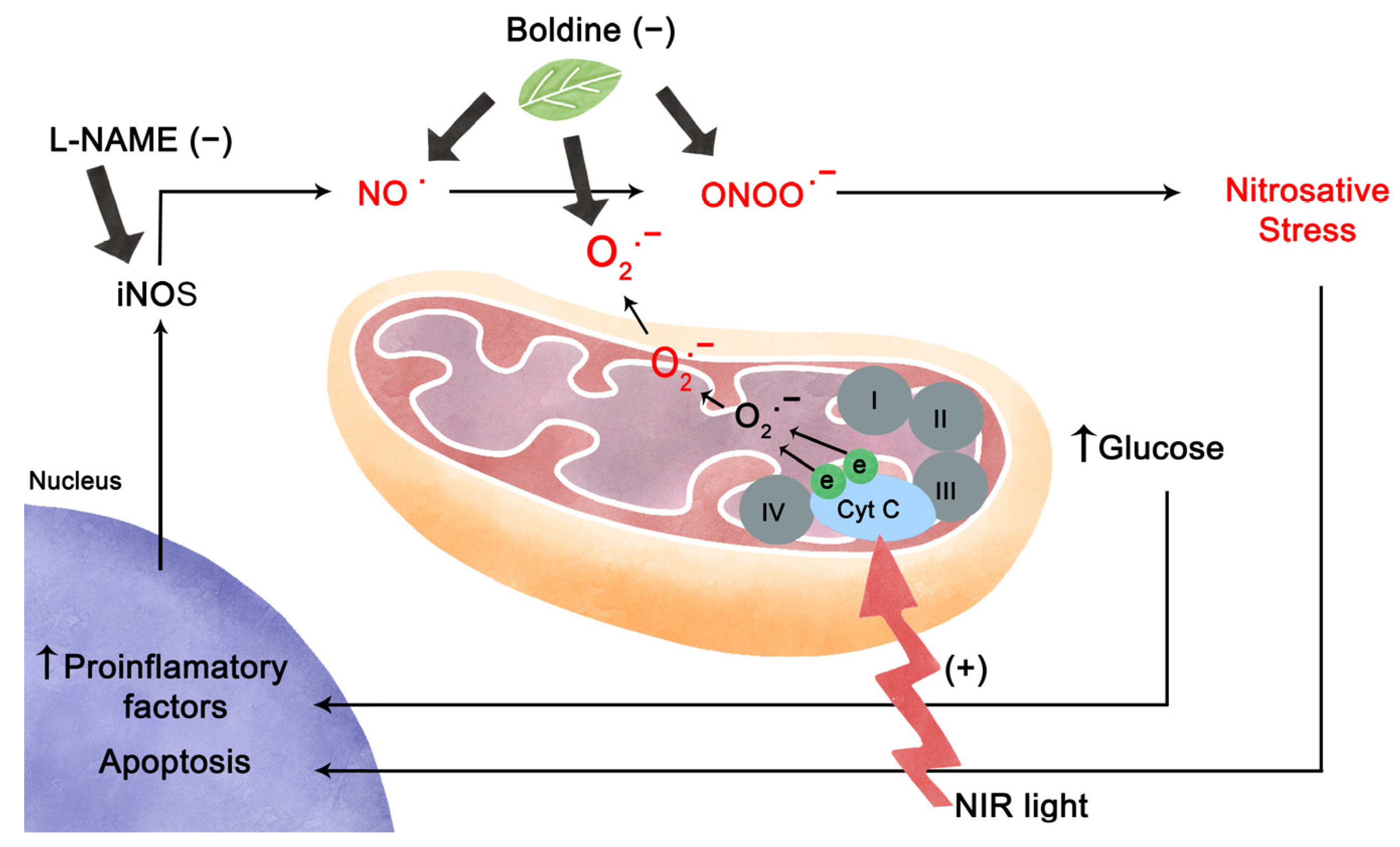 Ijms 24 07918 g006 Ijms 24 07918 g006