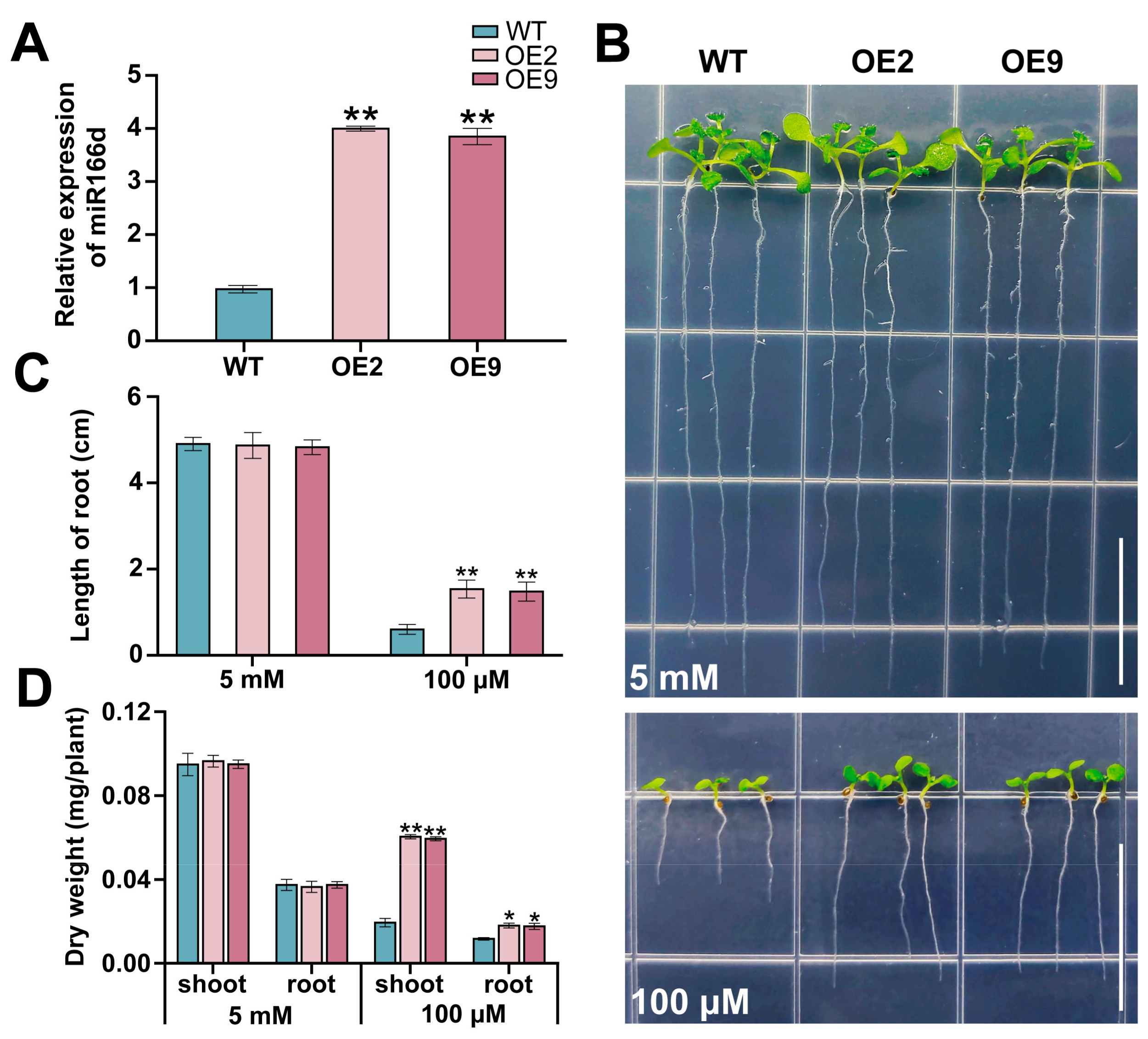 Ijms 24 07926 g002 Ijms 24 07926 g002