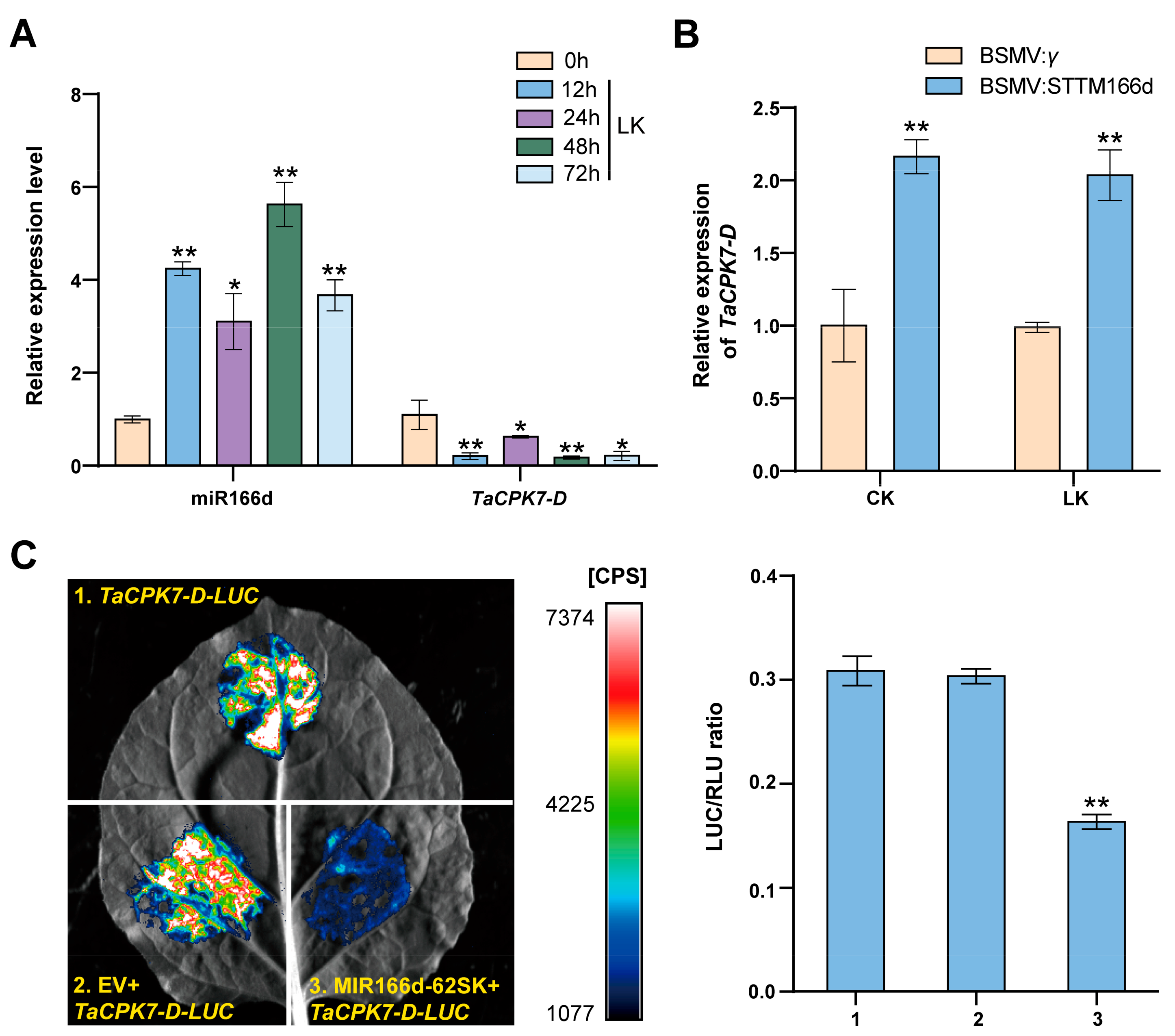 Ijms 24 07926 g004 Ijms 24 07926 g004