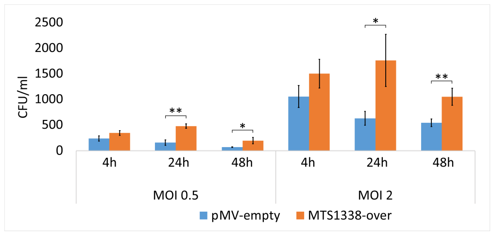 Ijms 24 07928 g001 Ijms 24 07928 g001