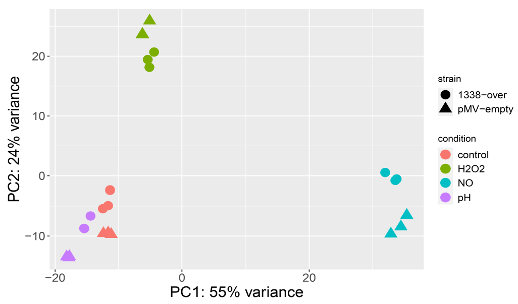 Ijms 24 07928 g003 Ijms 24 07928 g003