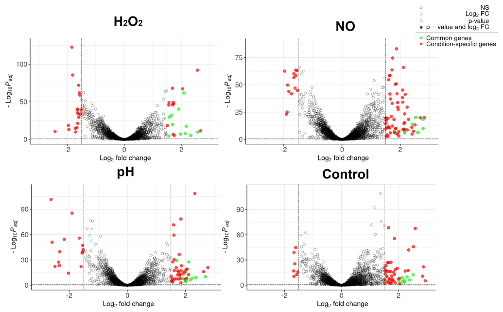 Ijms 24 07928 g004 Ijms 24 07928 g004