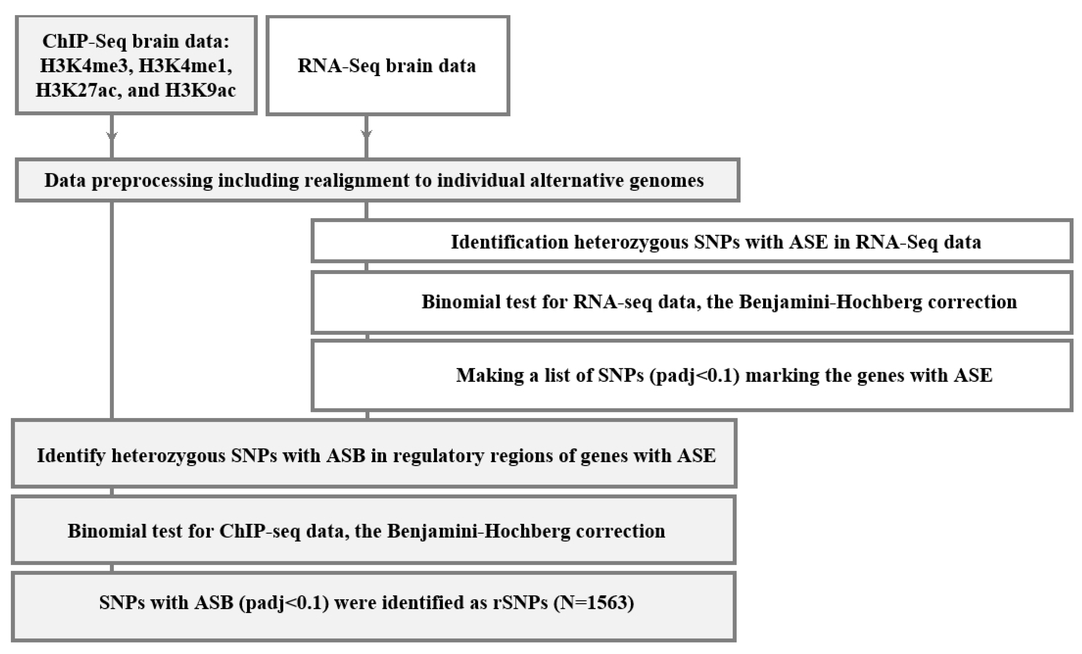 Ijms 24 07955 g001 Ijms 24 07955 g001