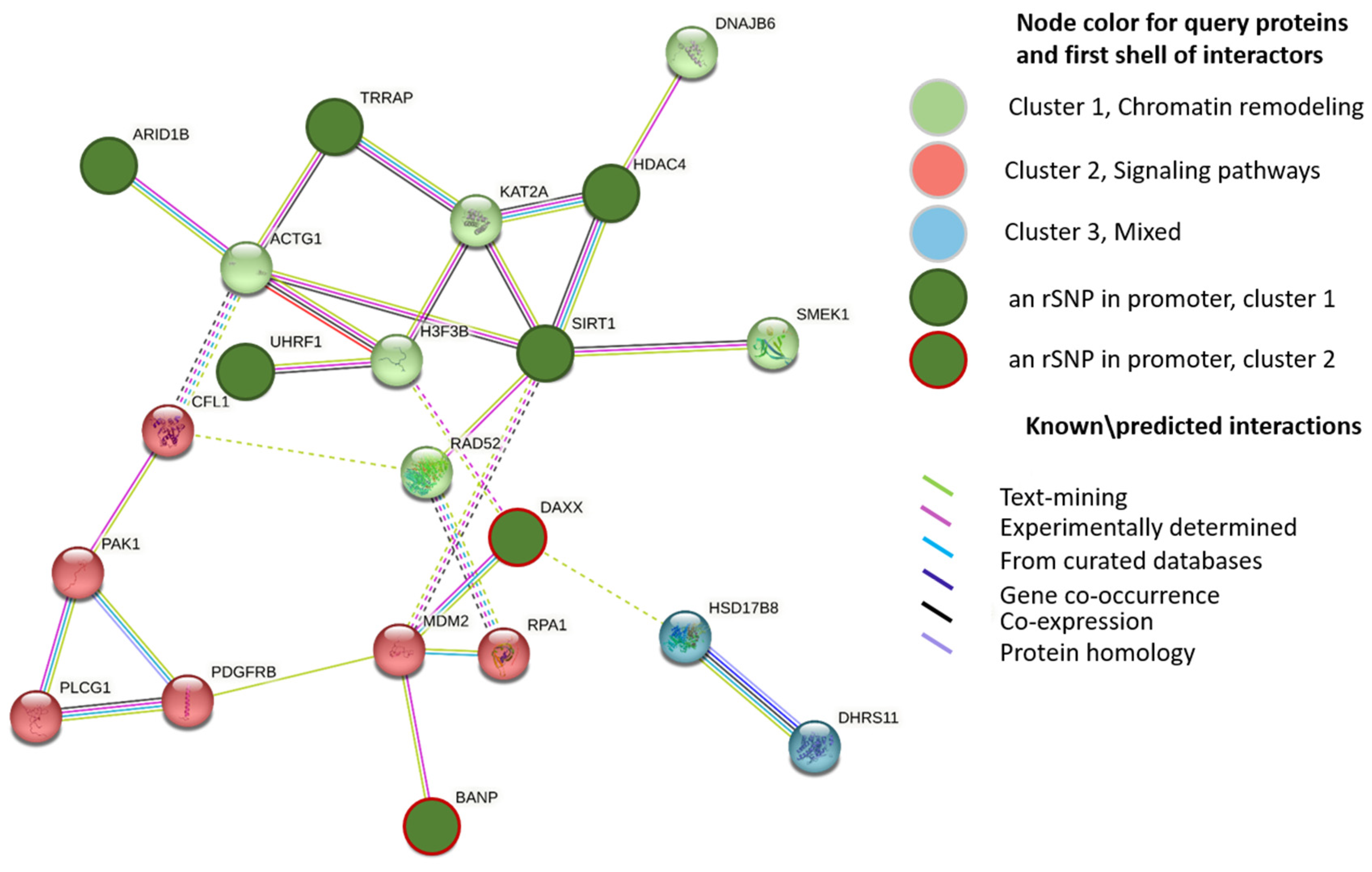 Ijms 24 07955 g002 Ijms 24 07955 g002