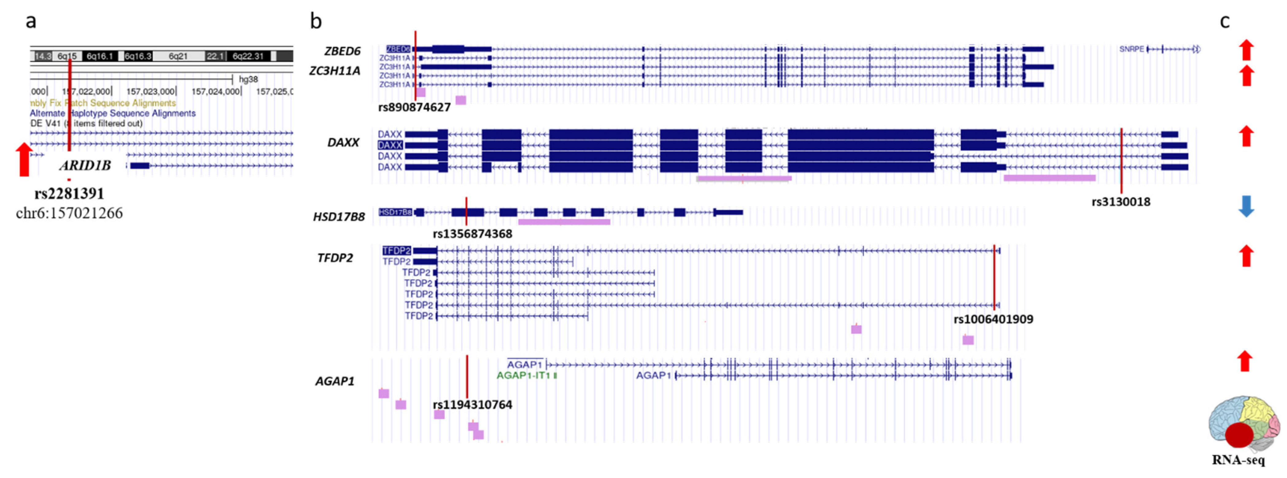 Ijms 24 07955 g004 Ijms 24 07955 g004