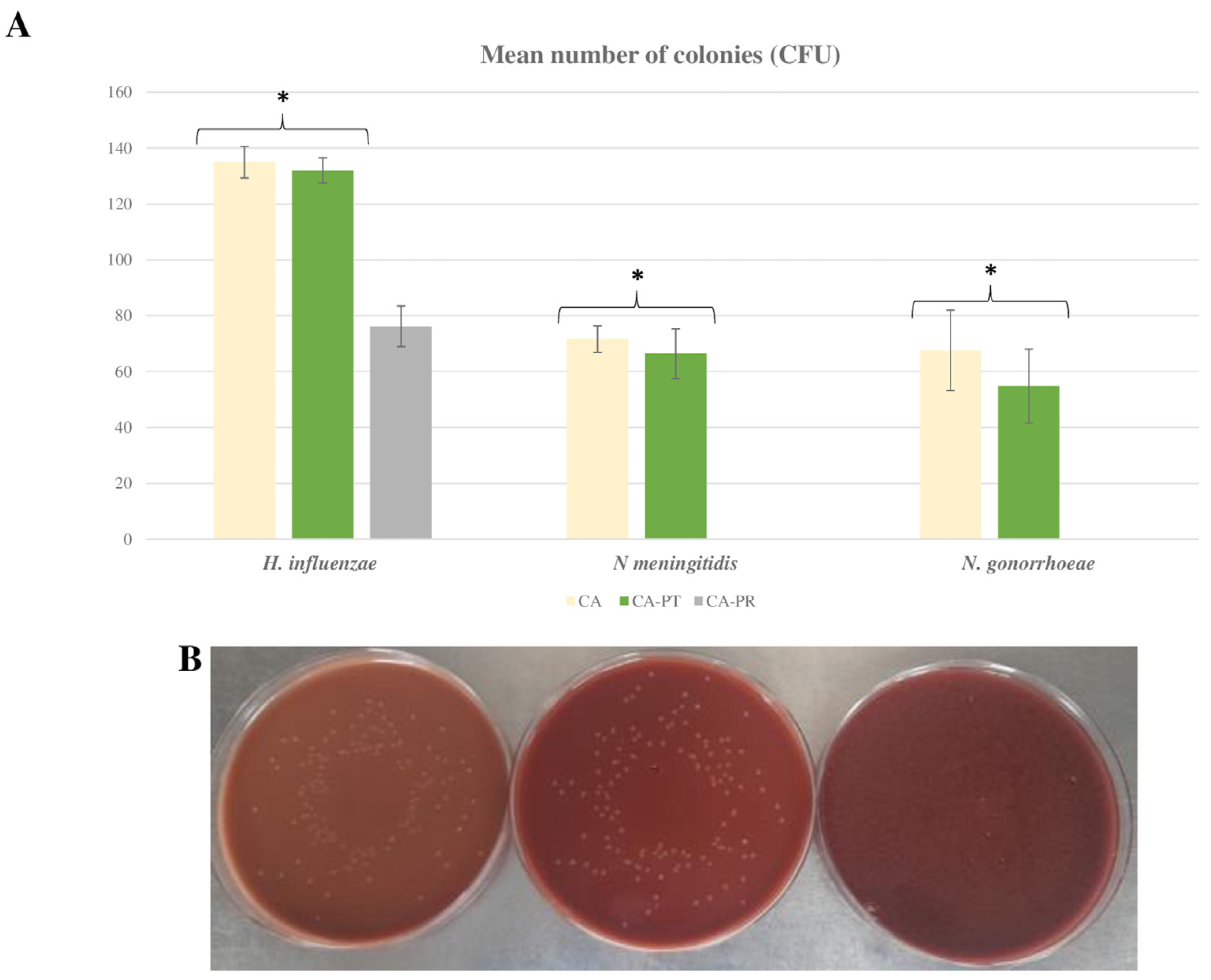 Ijms 24 07965 g001 Ijms 24 07965 g001