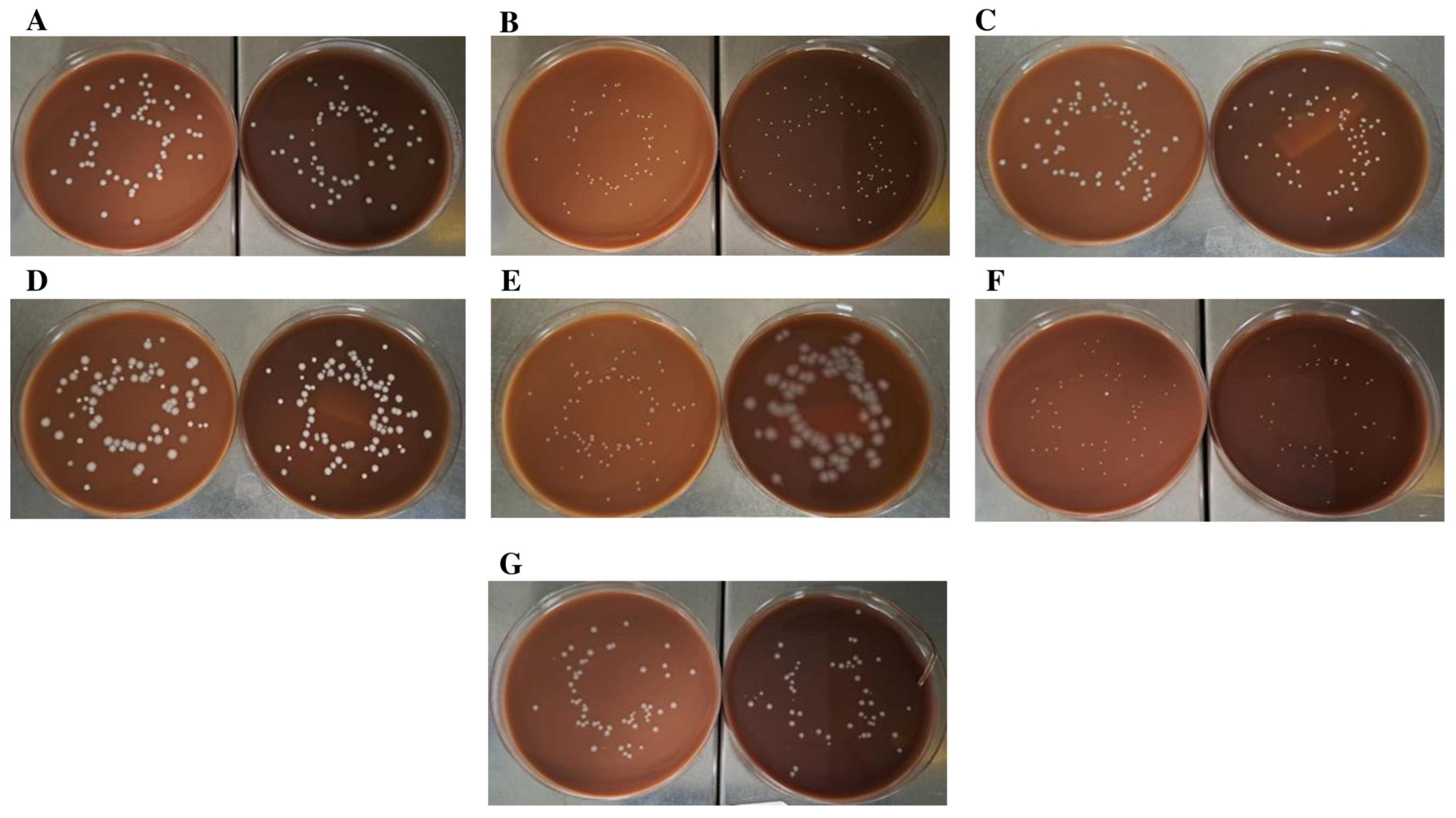 Ijms 24 07965 g006 Ijms 24 07965 g006