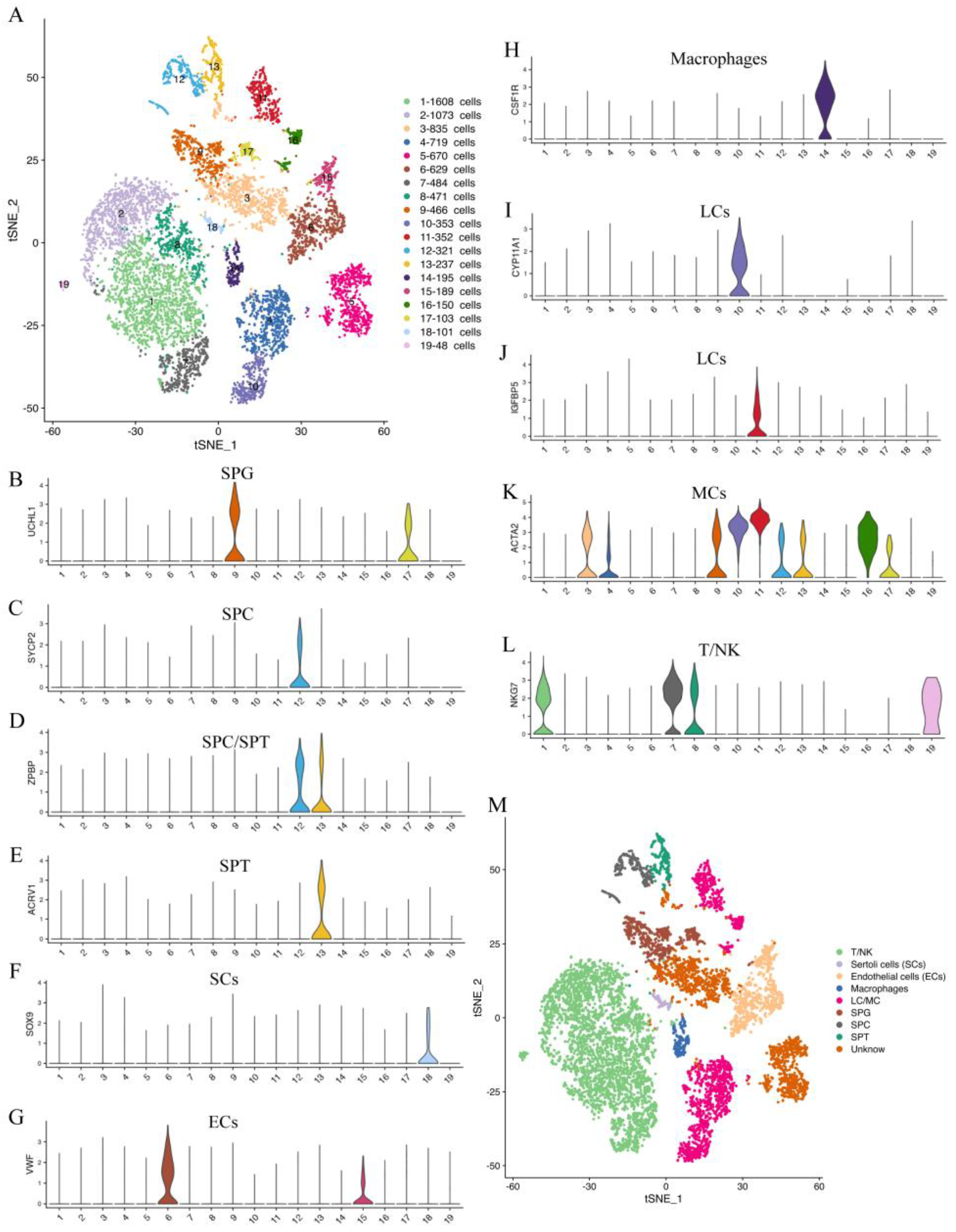 Ijms 24 07982 g002 Ijms 24 07982 g002