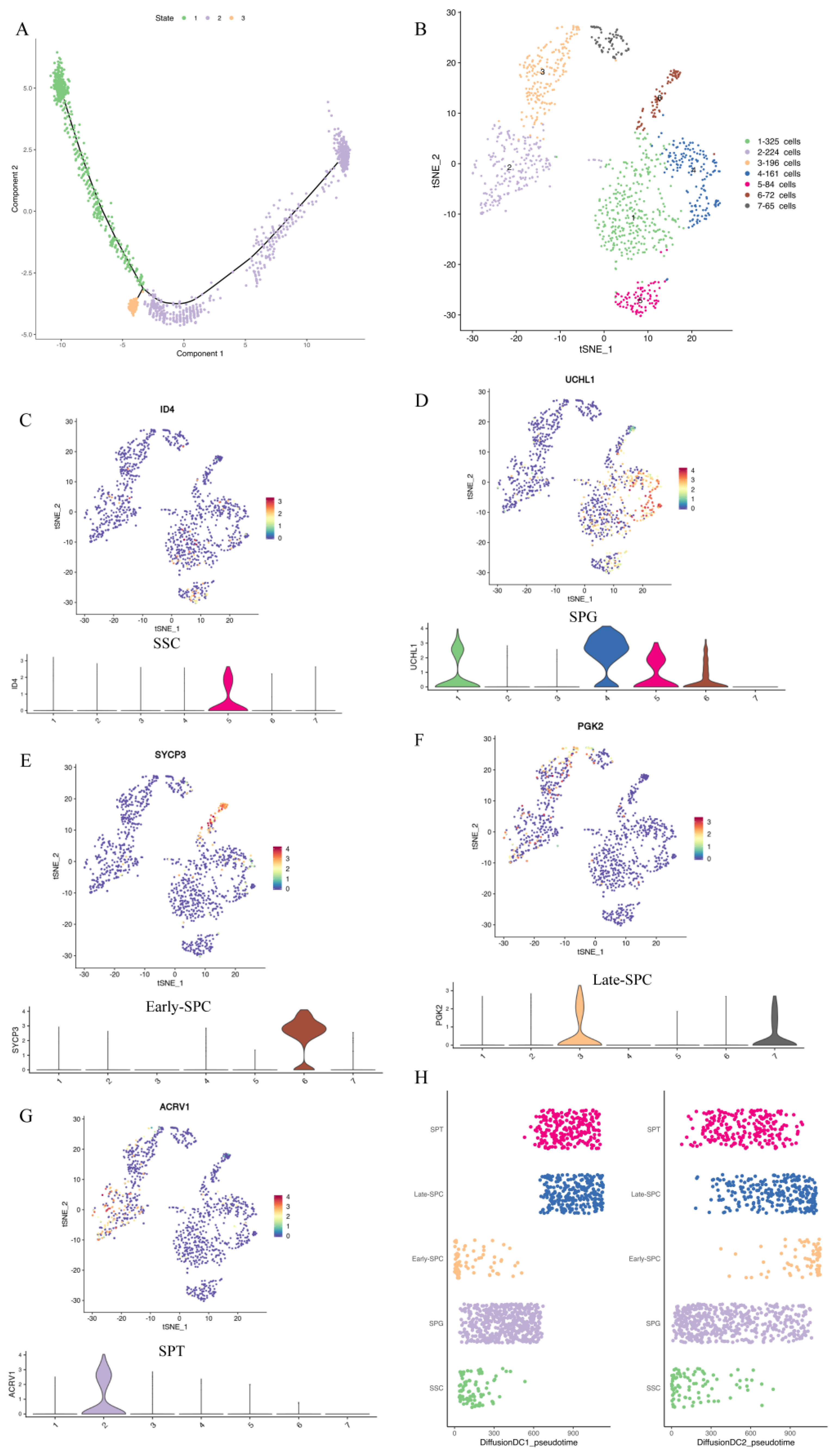 Ijms 24 07982 g003 Ijms 24 07982 g003