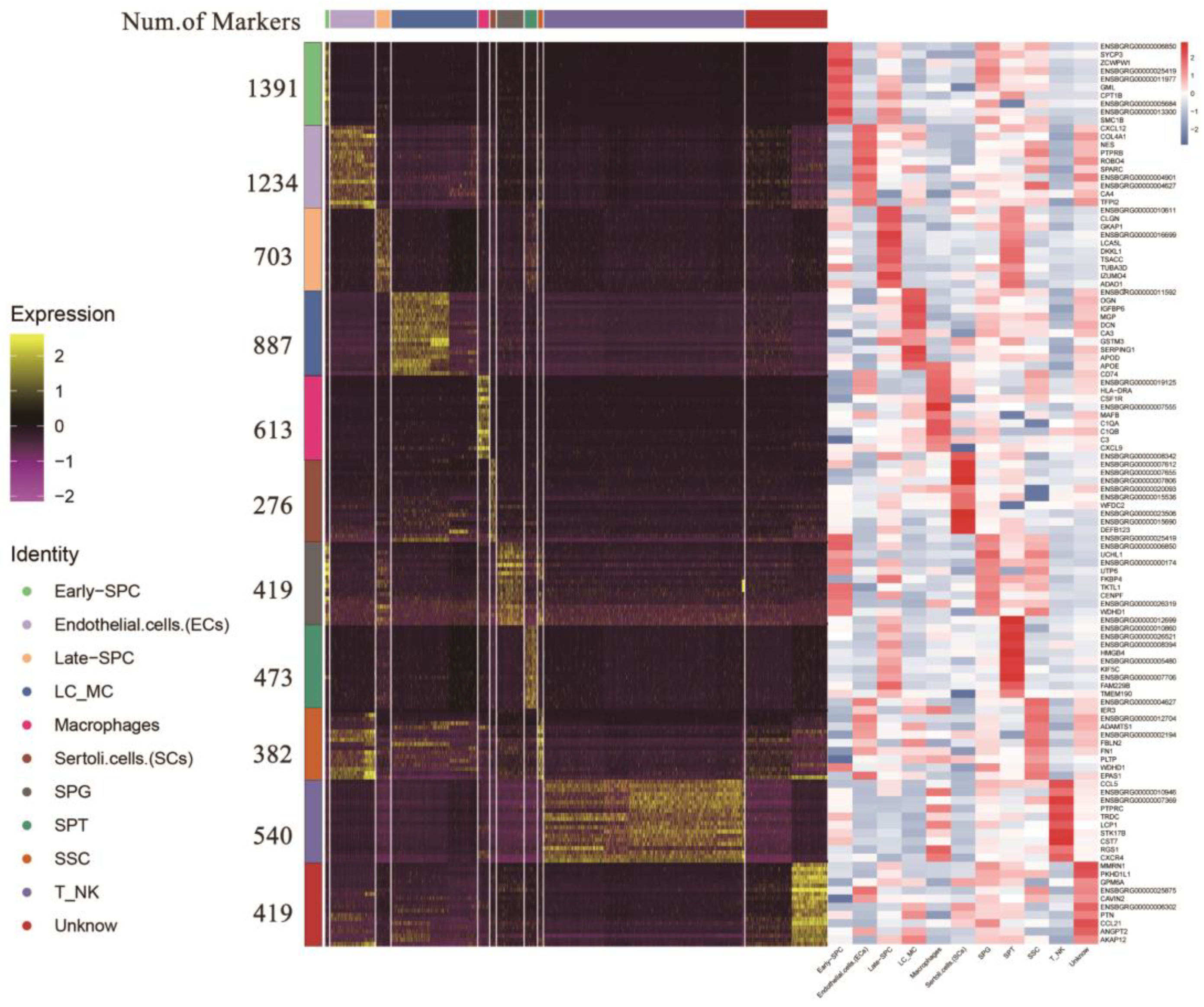 Ijms 24 07982 g004 Ijms 24 07982 g004