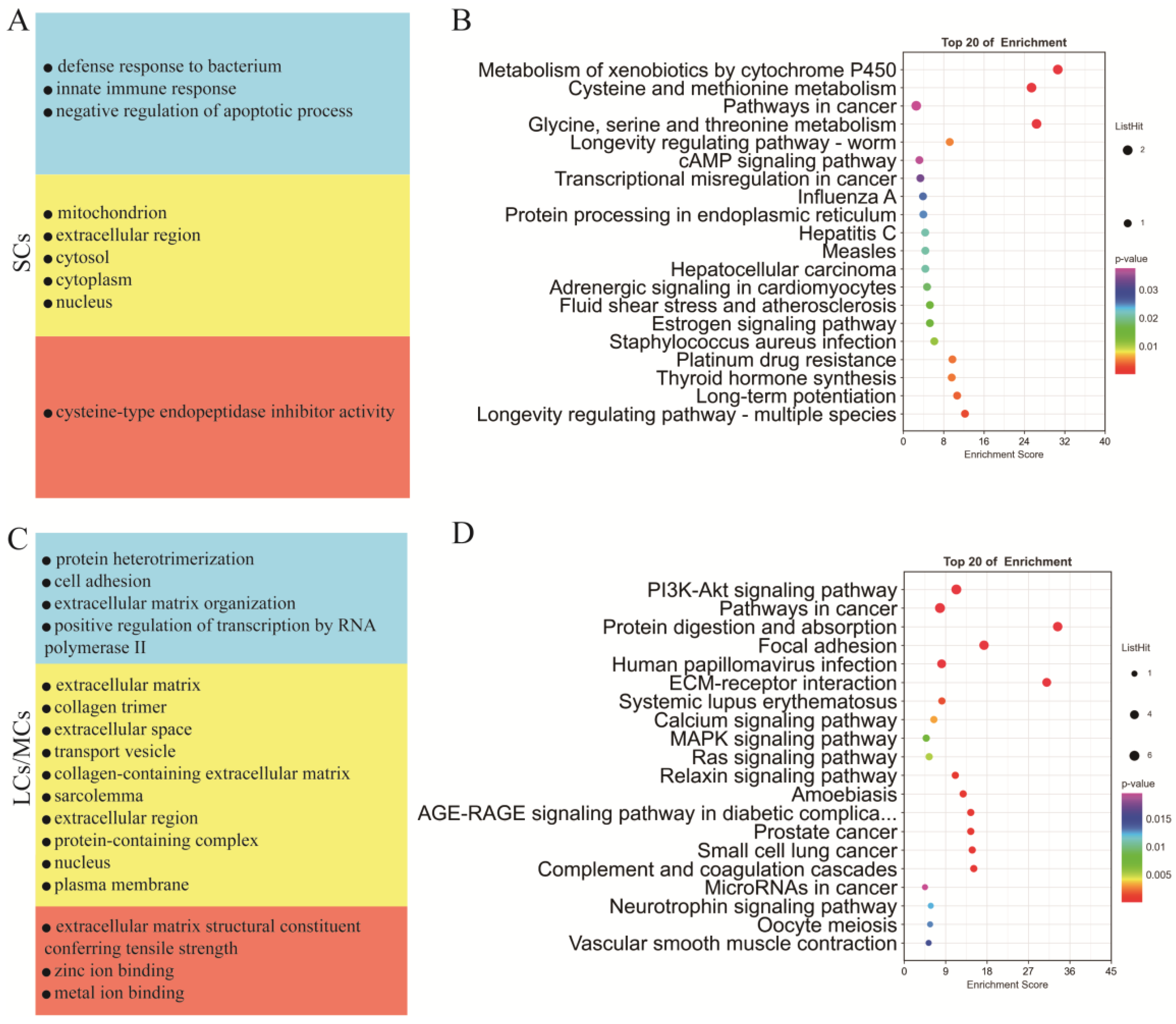 Ijms 24 07982 g005 Ijms 24 07982 g005