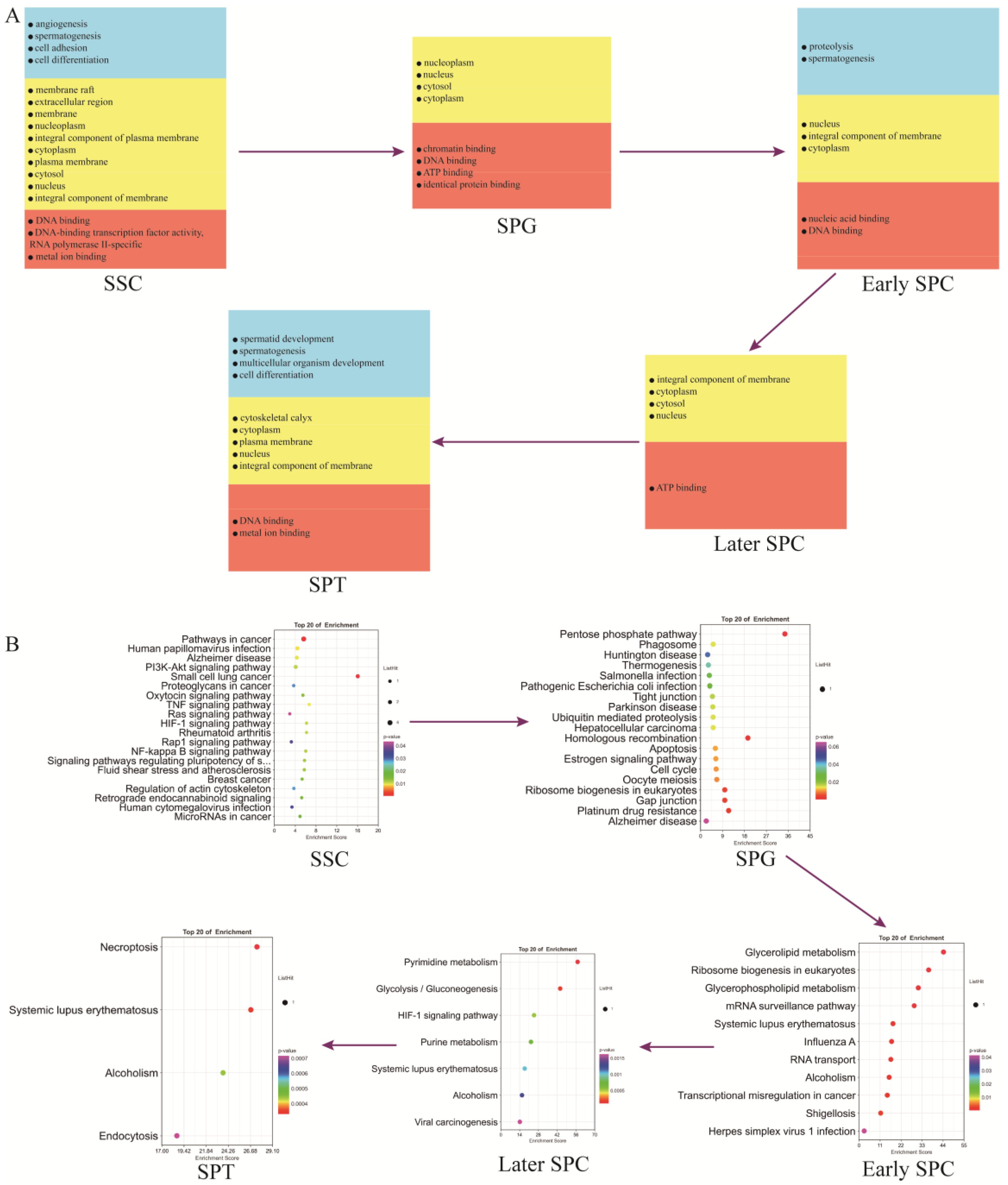 Ijms 24 07982 g006 Ijms 24 07982 g006