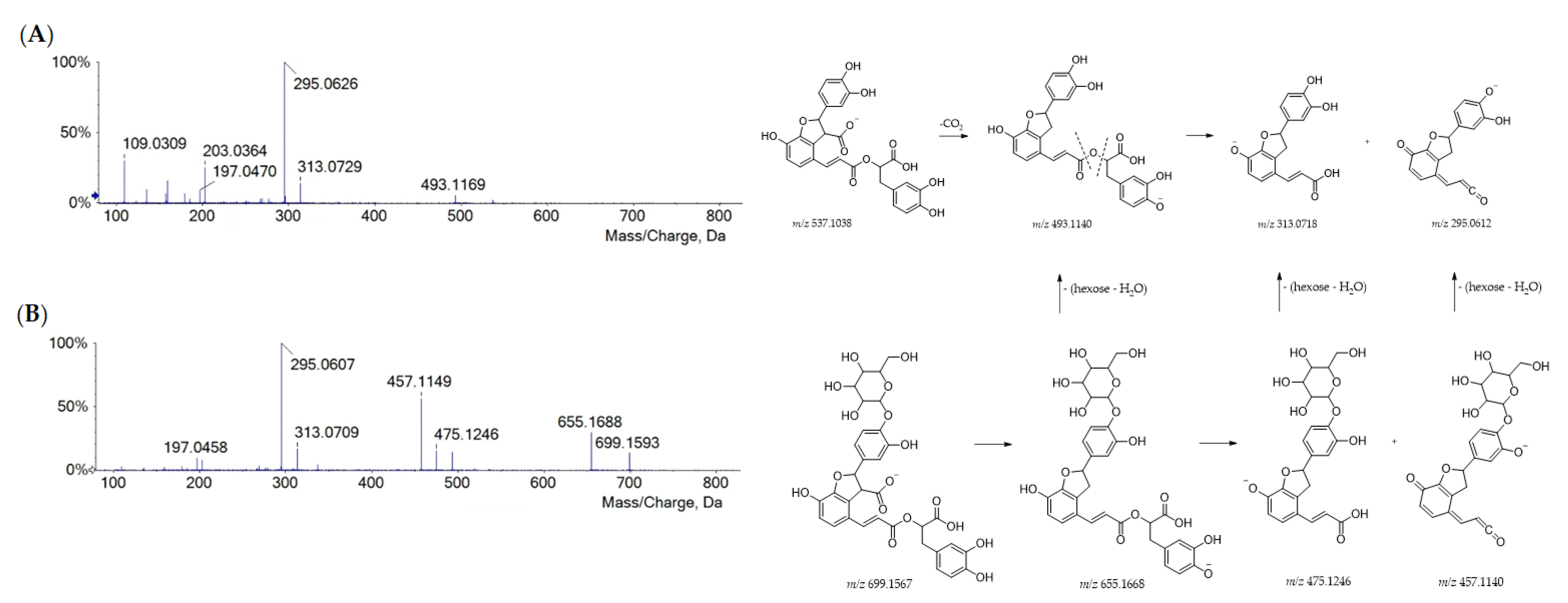 Ijms 24 08038 g003 Ijms 24 08038 g003