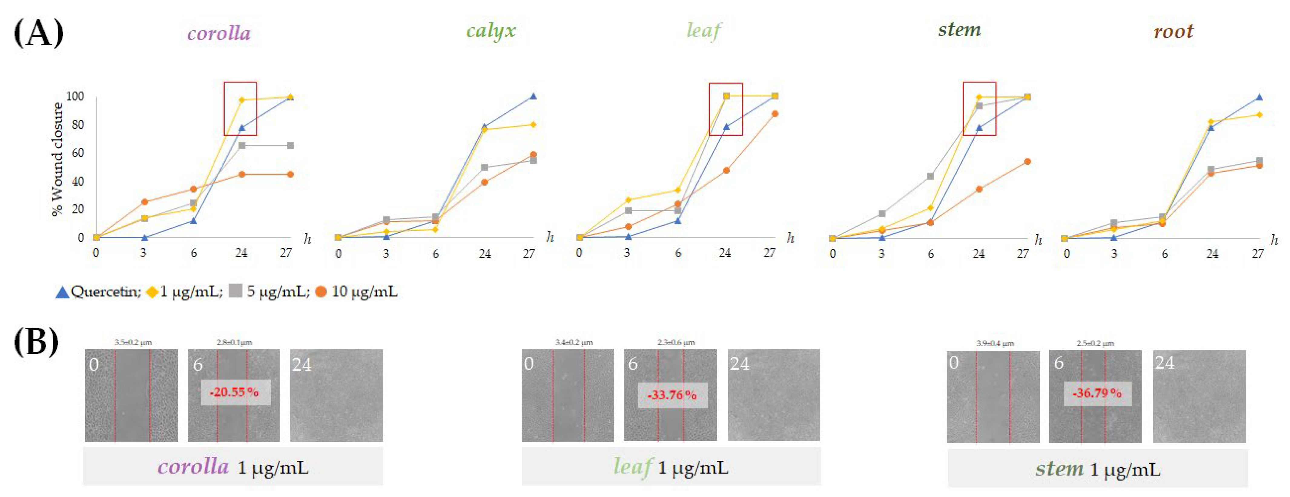 Ijms 24 08038 g009 Ijms 24 08038 g009