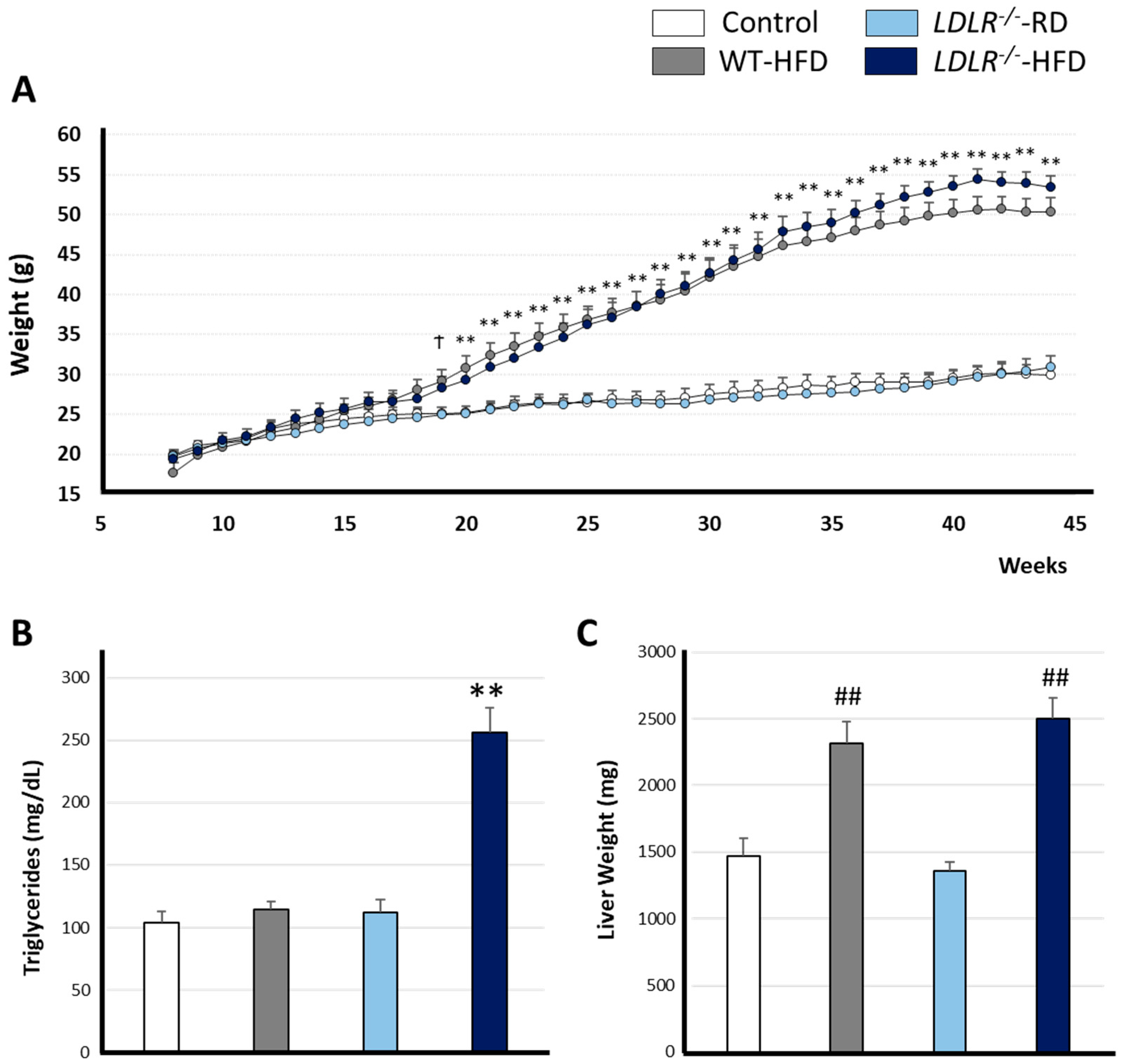 Ijms 24 08042 g001 Ijms 24 08042 g001