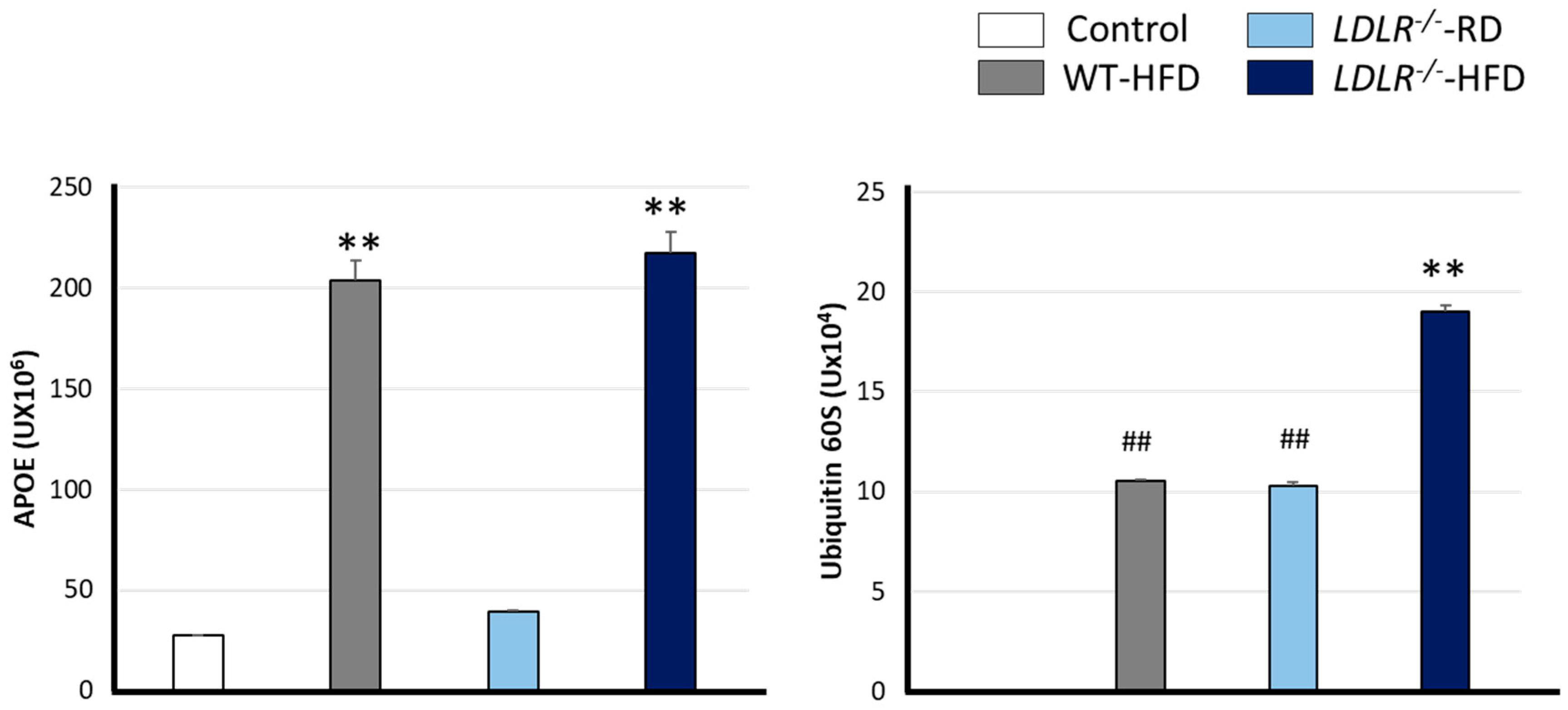 Ijms 24 08042 g004 Ijms 24 08042 g004