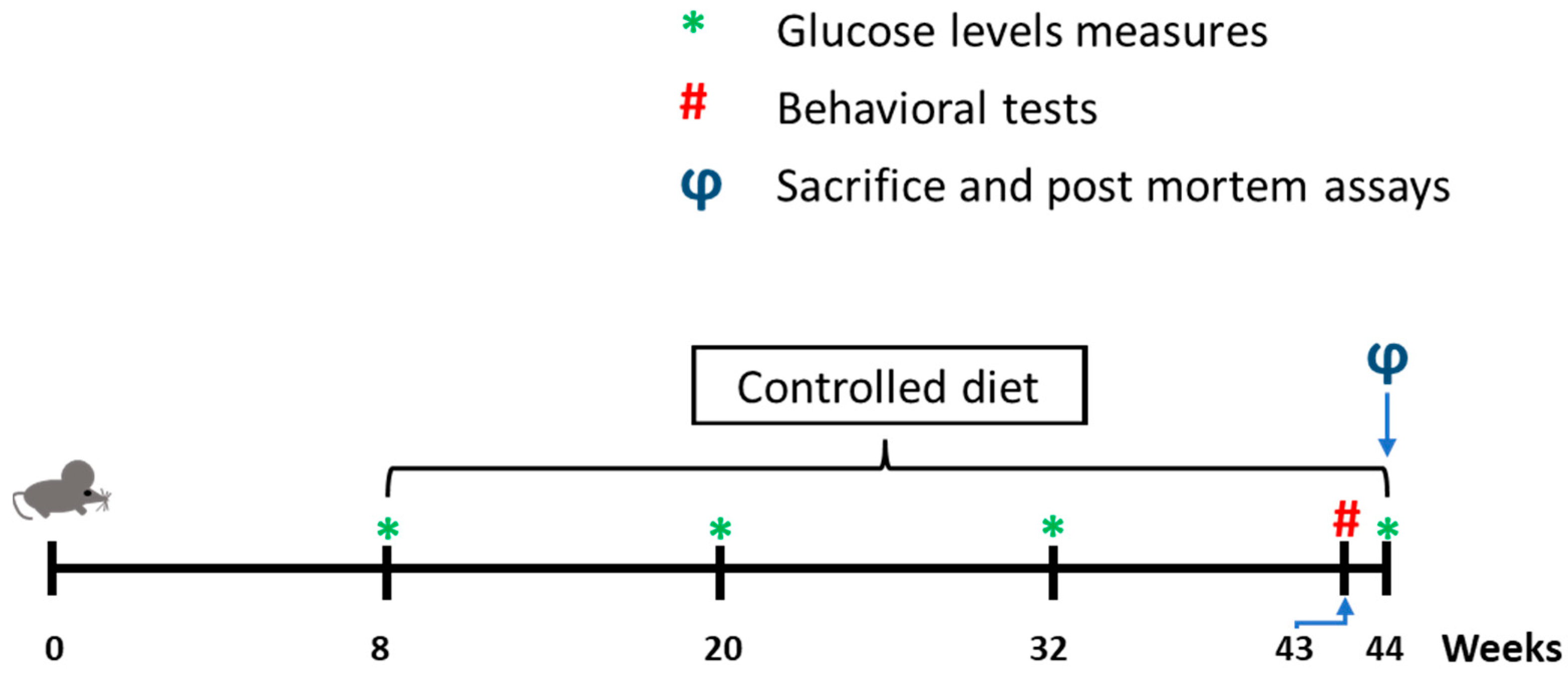 Ijms 24 08042 g005 Ijms 24 08042 g005