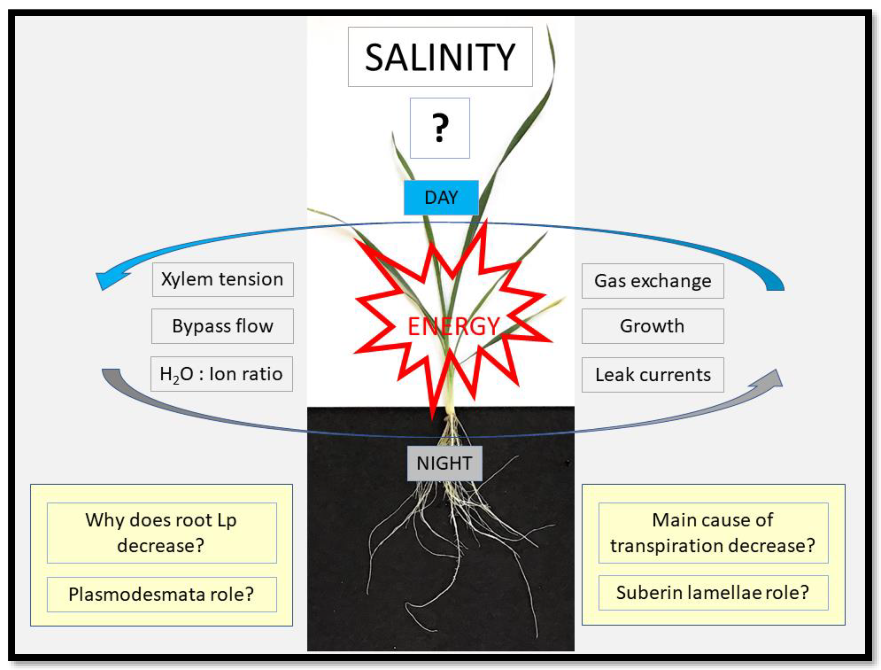 Ijms 24 08070 g002 Ijms 24 08070 g002