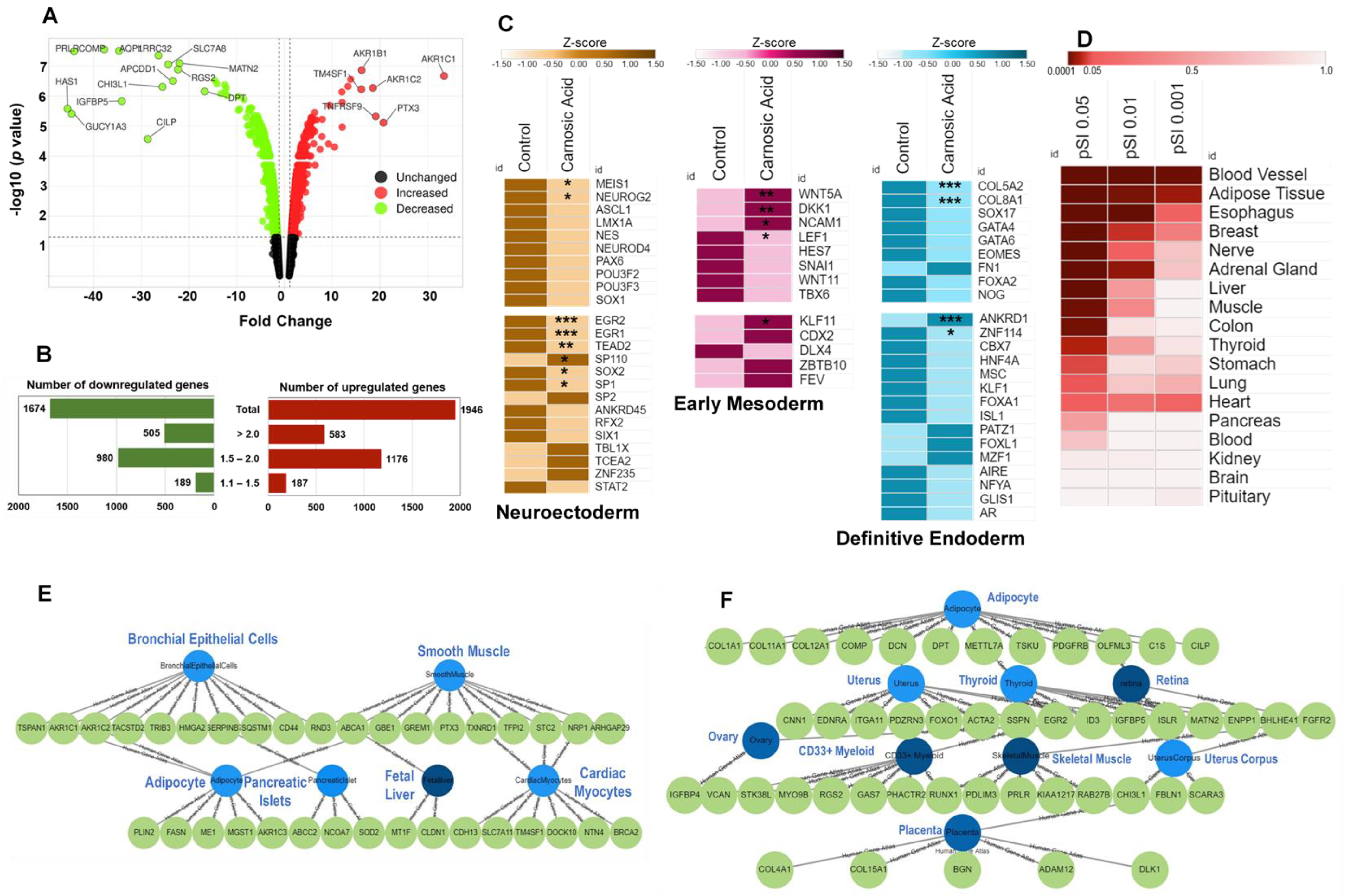 Ijms 24 08077 g001 Ijms 24 08077 g001