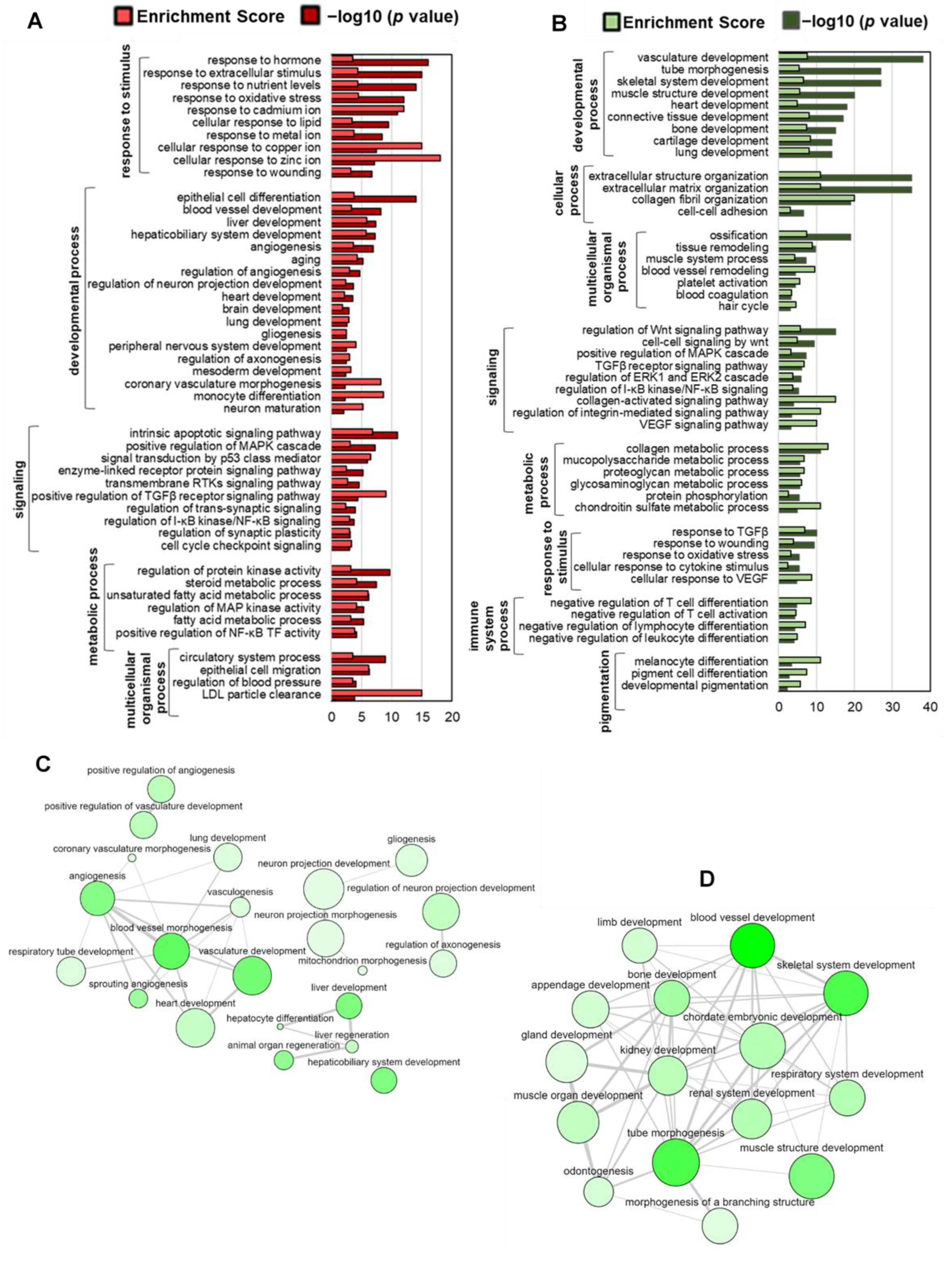 Ijms 24 08077 g002 Ijms 24 08077 g002