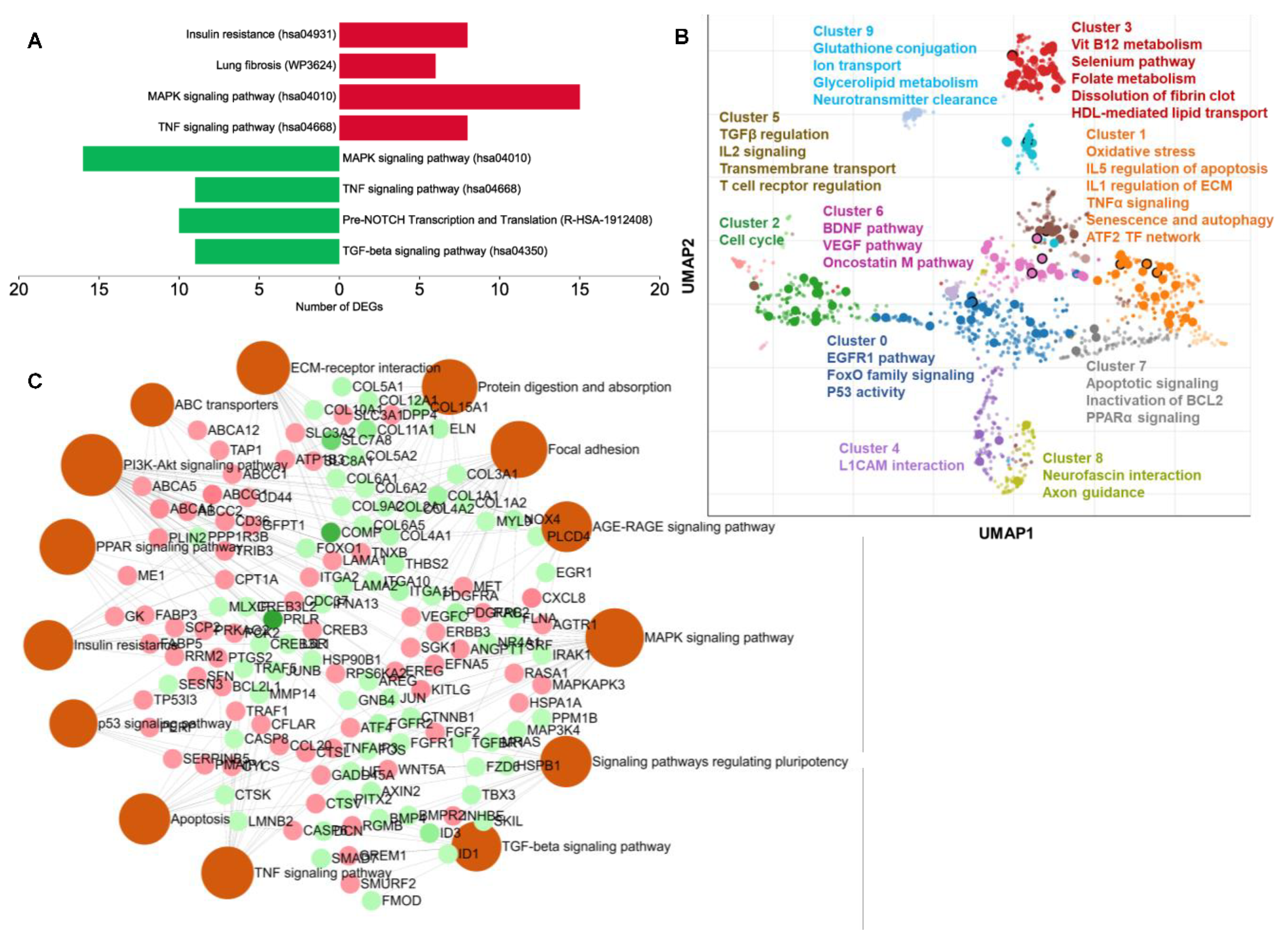 Ijms 24 08077 g004 Ijms 24 08077 g004