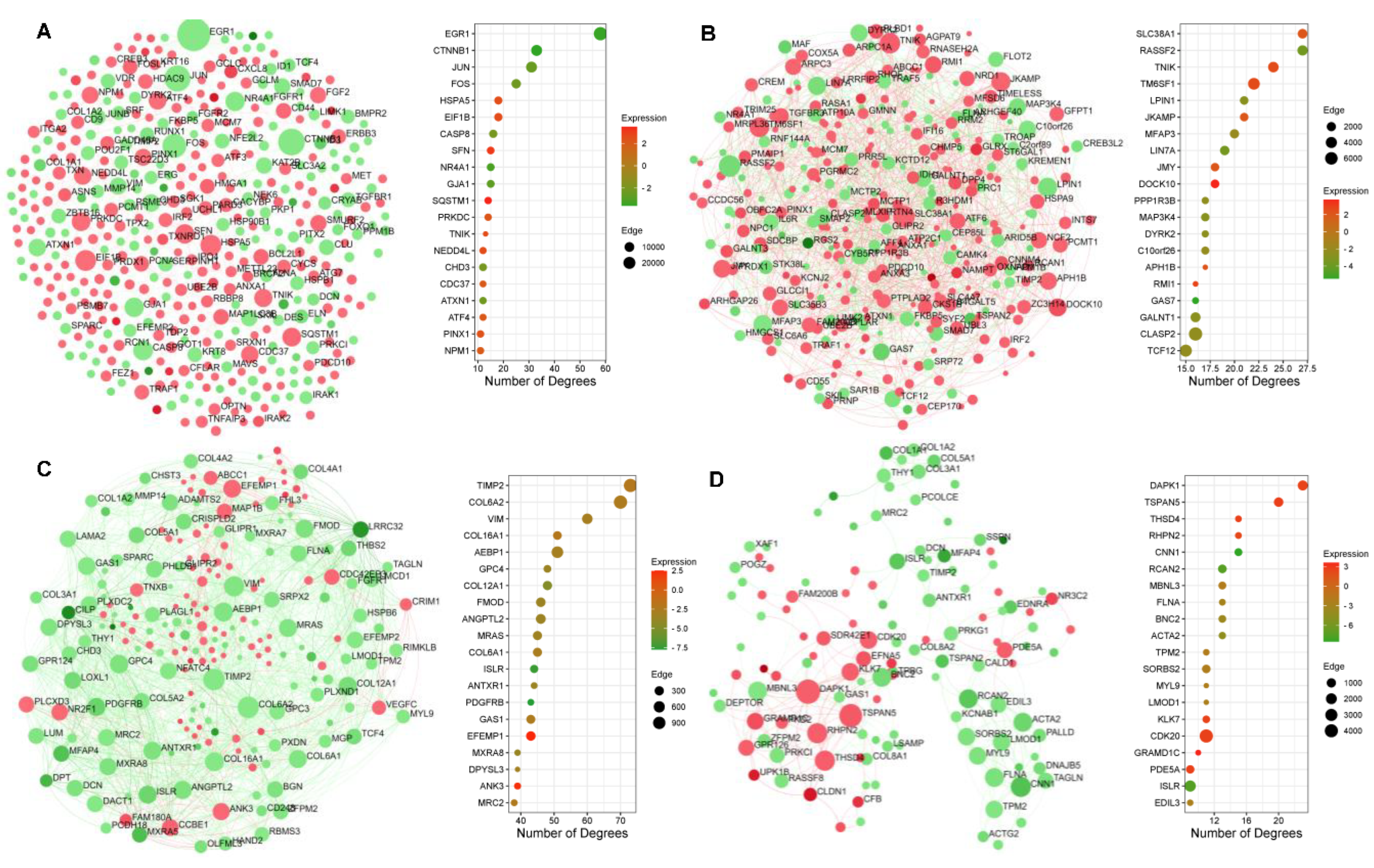Ijms 24 08077 g005 Ijms 24 08077 g005