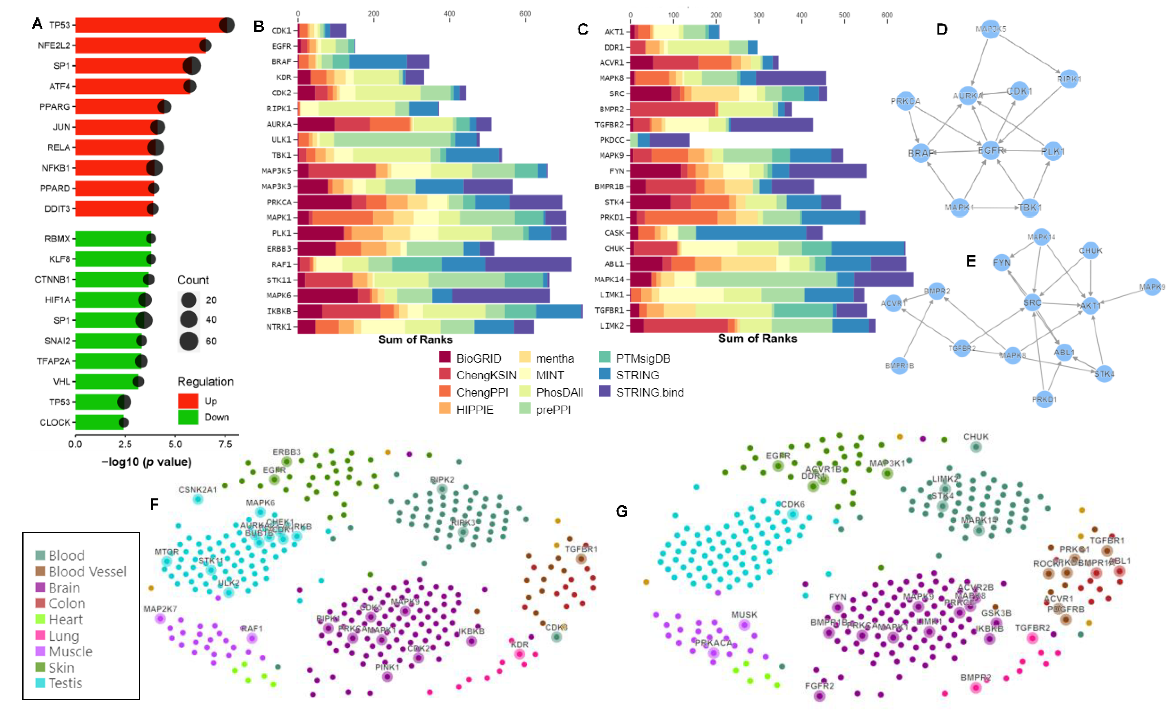 Ijms 24 08077 g006 Ijms 24 08077 g006