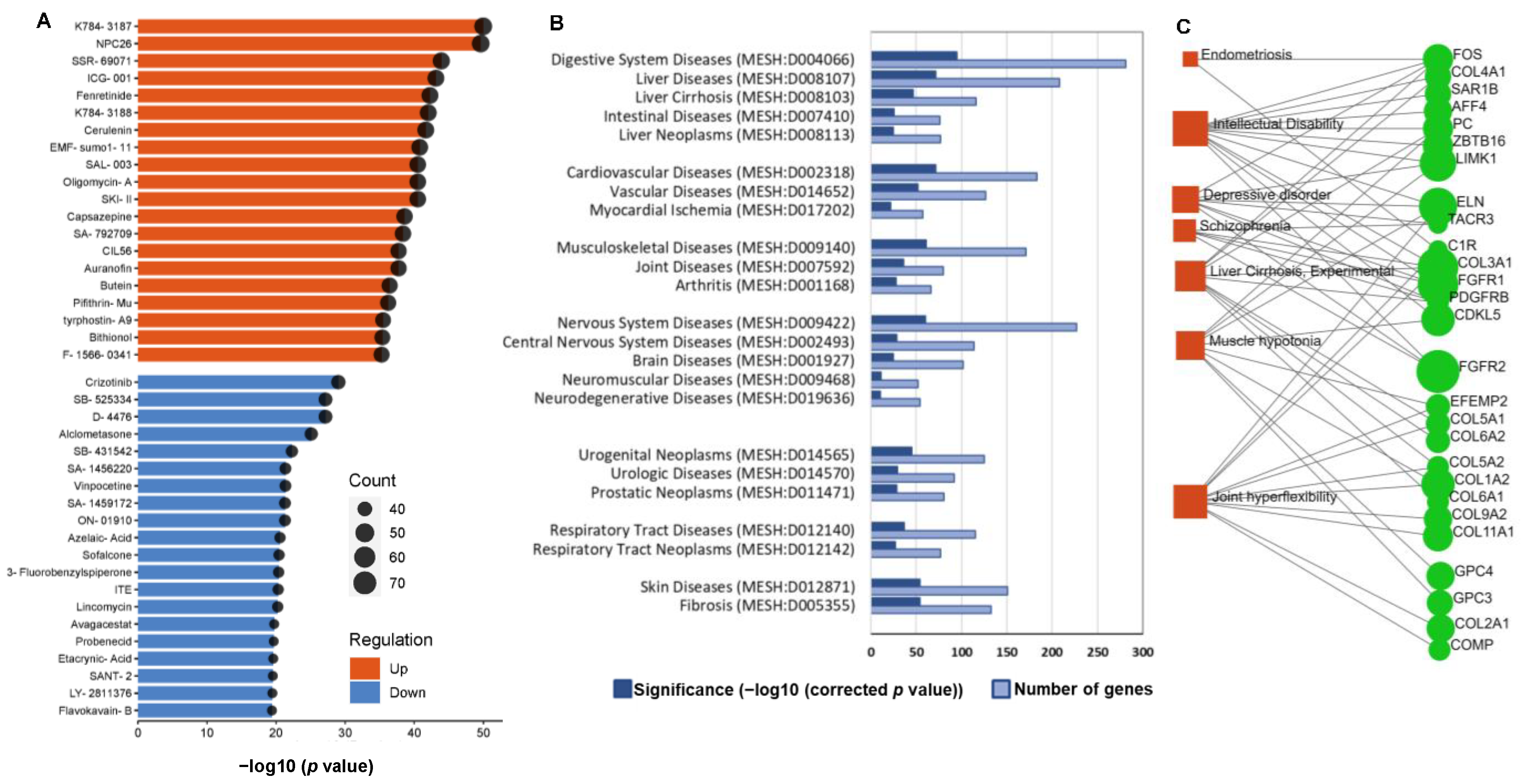Ijms 24 08077 g007 Ijms 24 08077 g007