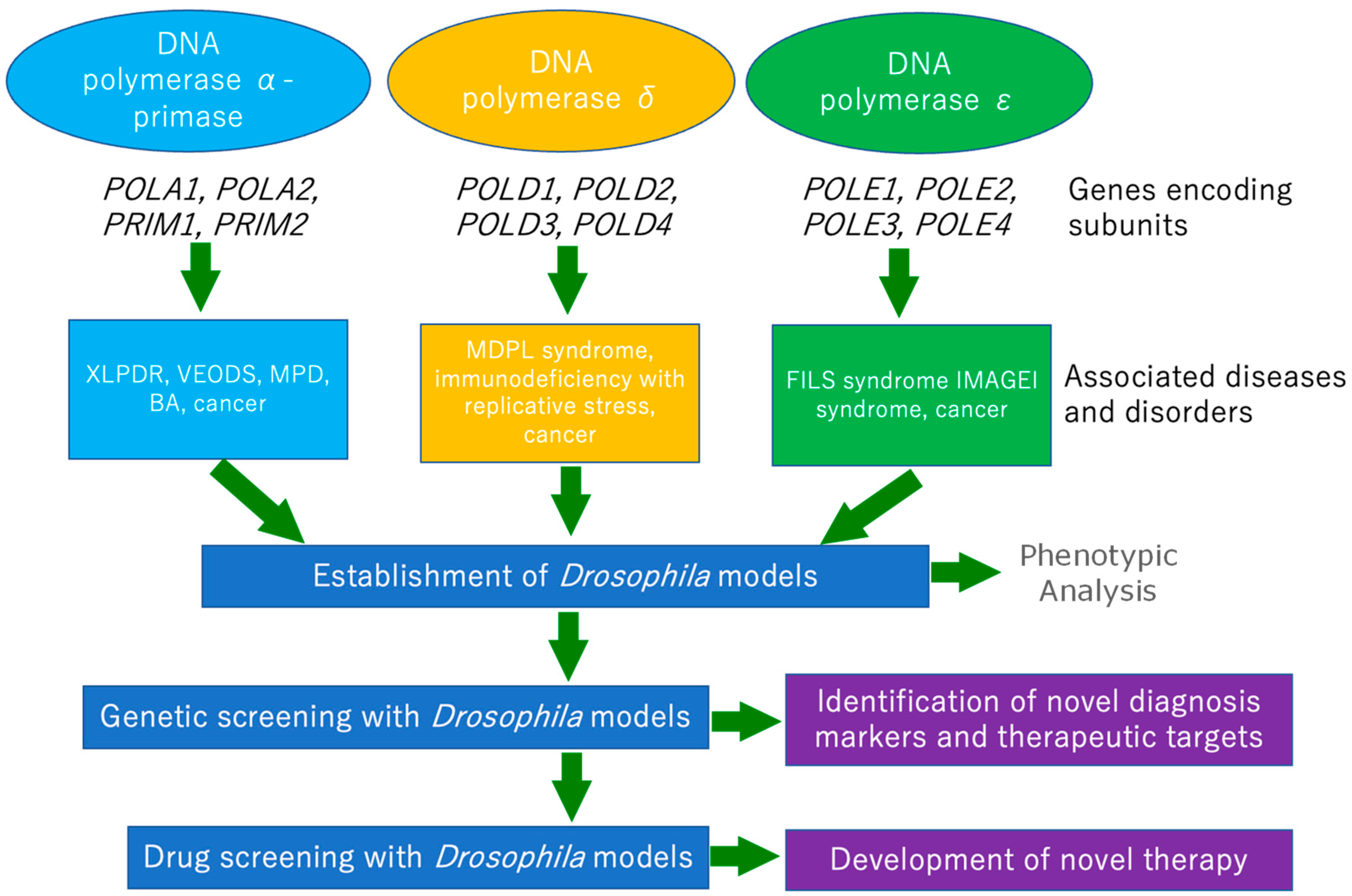 Ijms 24 08078 g001 Ijms 24 08078 g001
