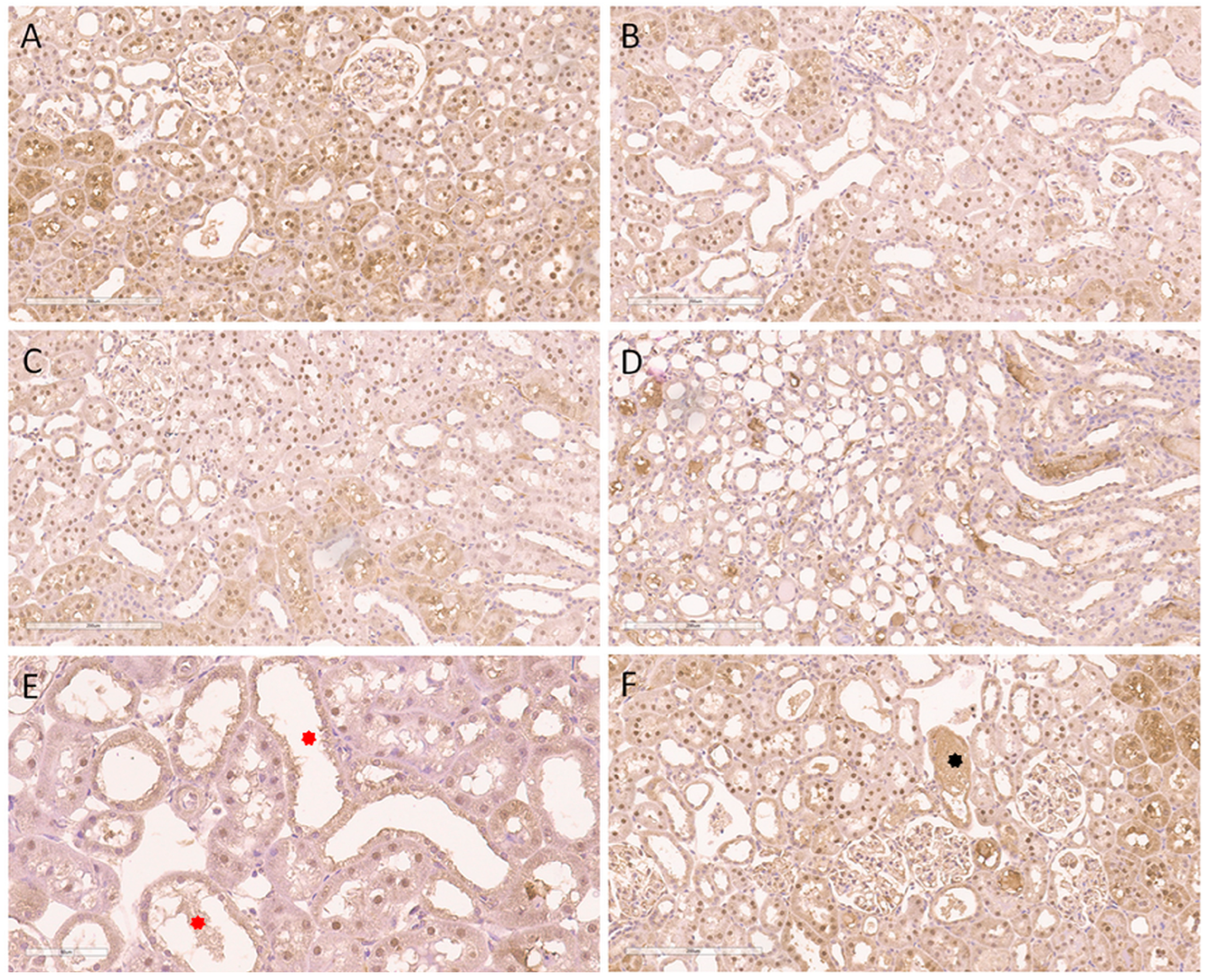 Ijms 24 08085 g003 Ijms 24 08085 g003