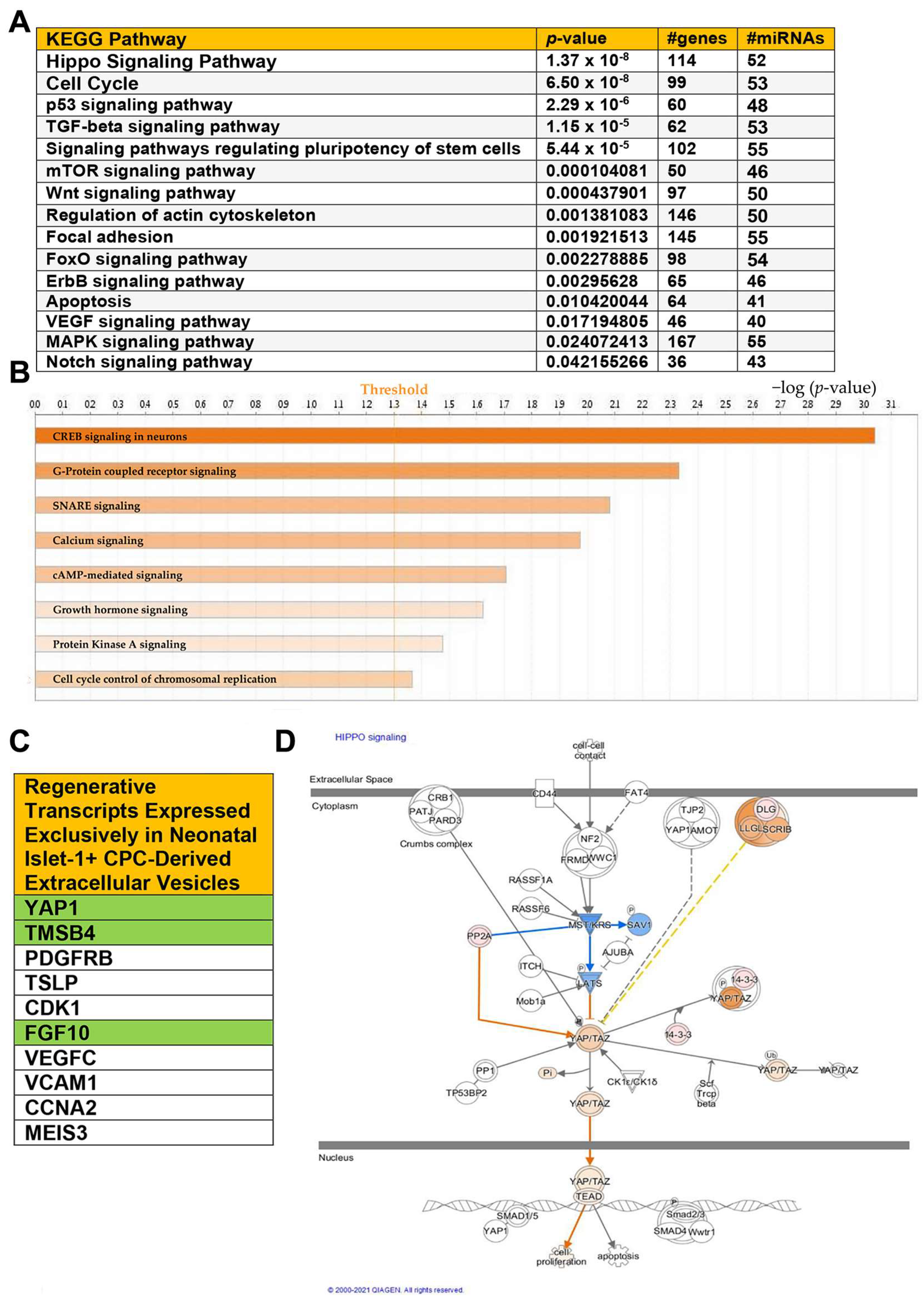 Ijms 24 08088 g002 Ijms 24 08088 g002