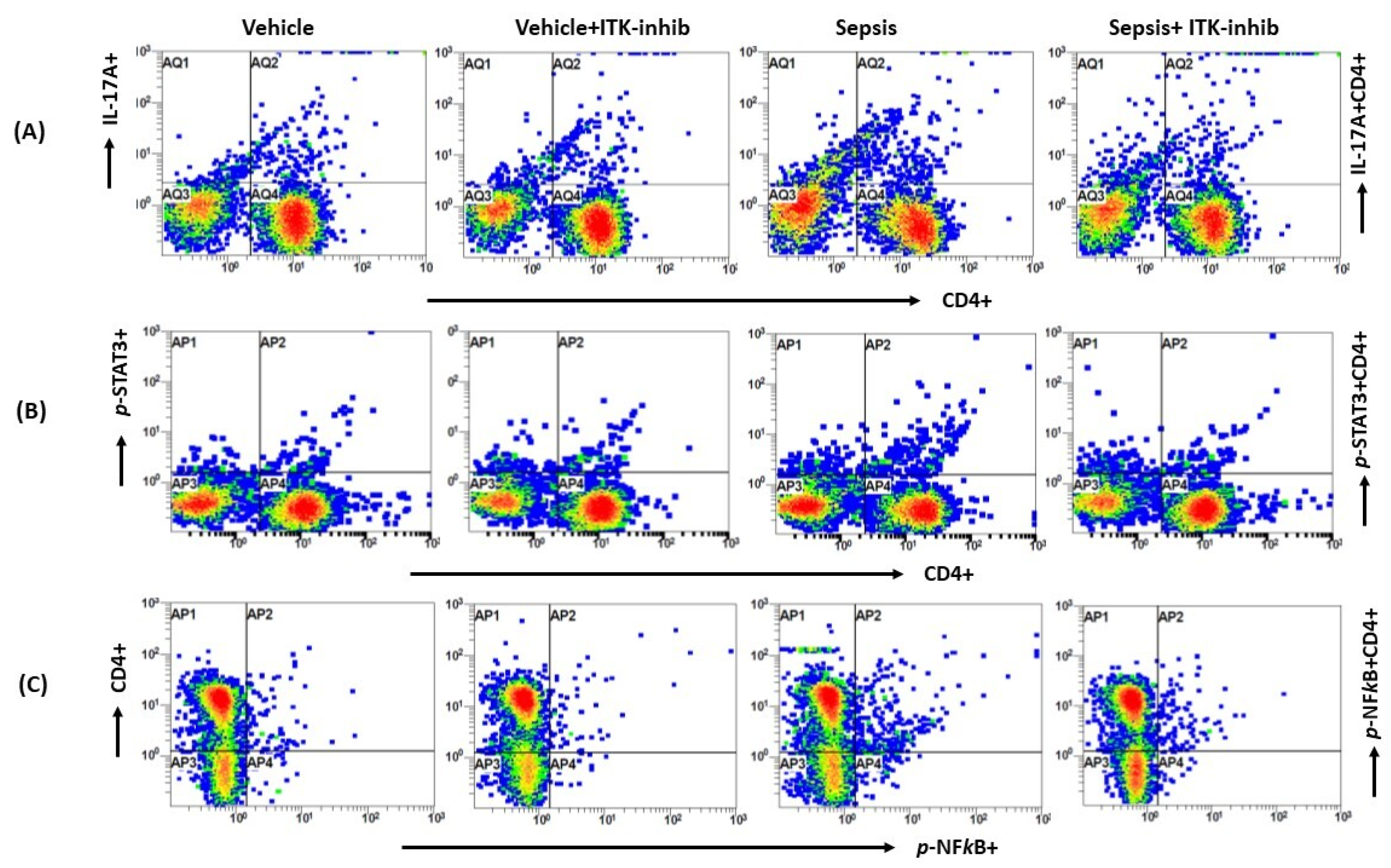 Ijms 24 08101 g002a Ijms 24 08101 g002a