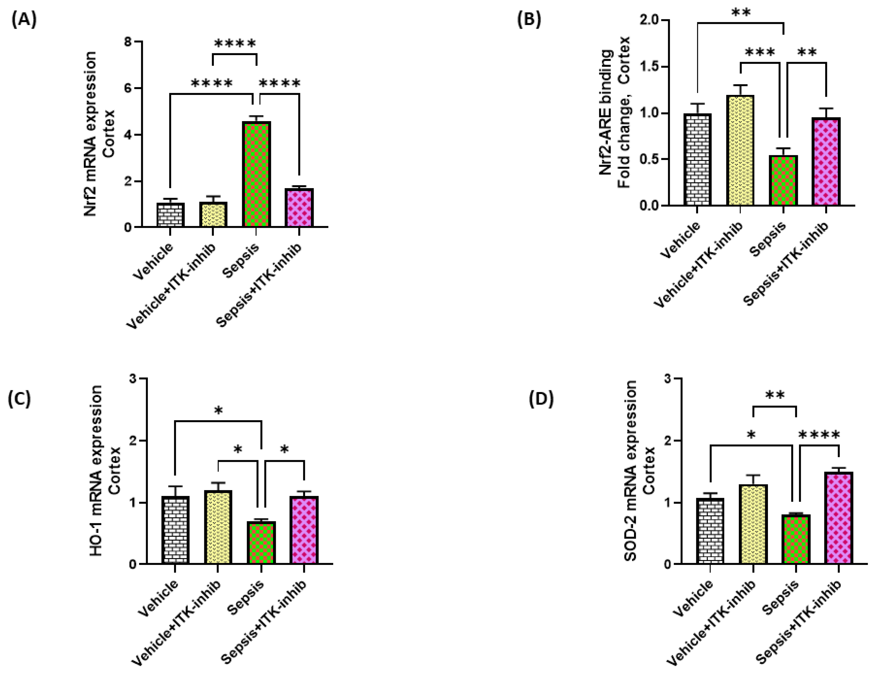 Ijms 24 08101 g006 Ijms 24 08101 g006