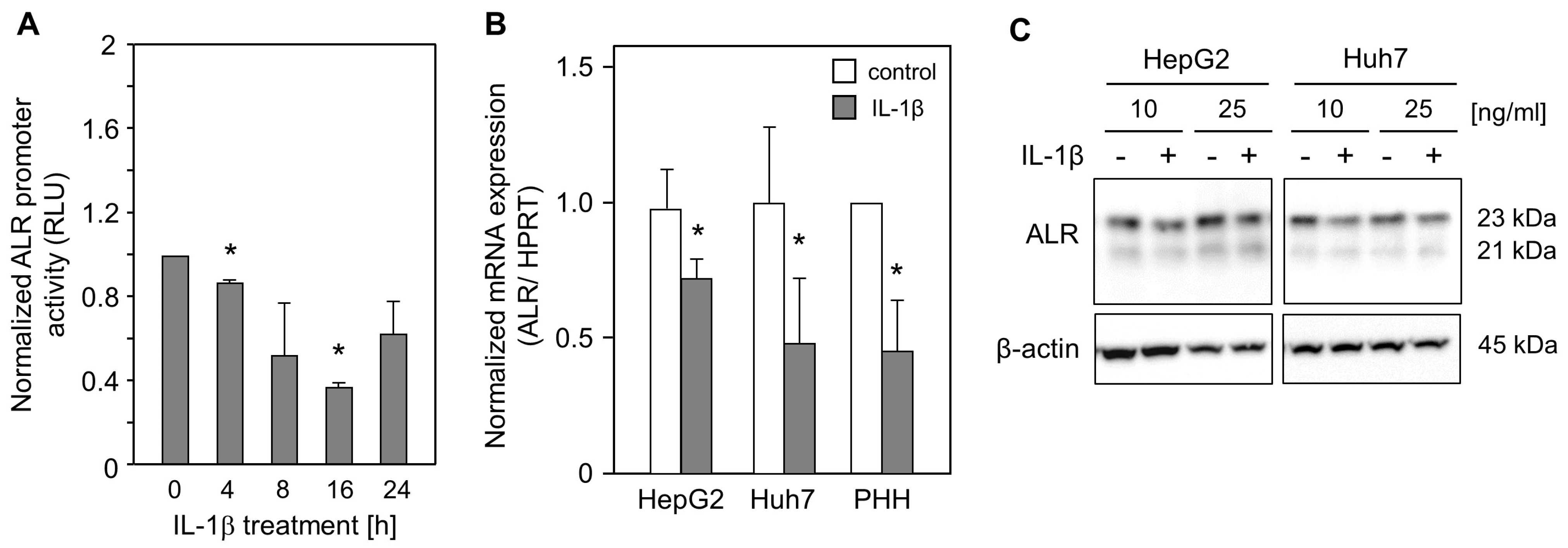 Ijms 24 08107 g001 Ijms 24 08107 g001