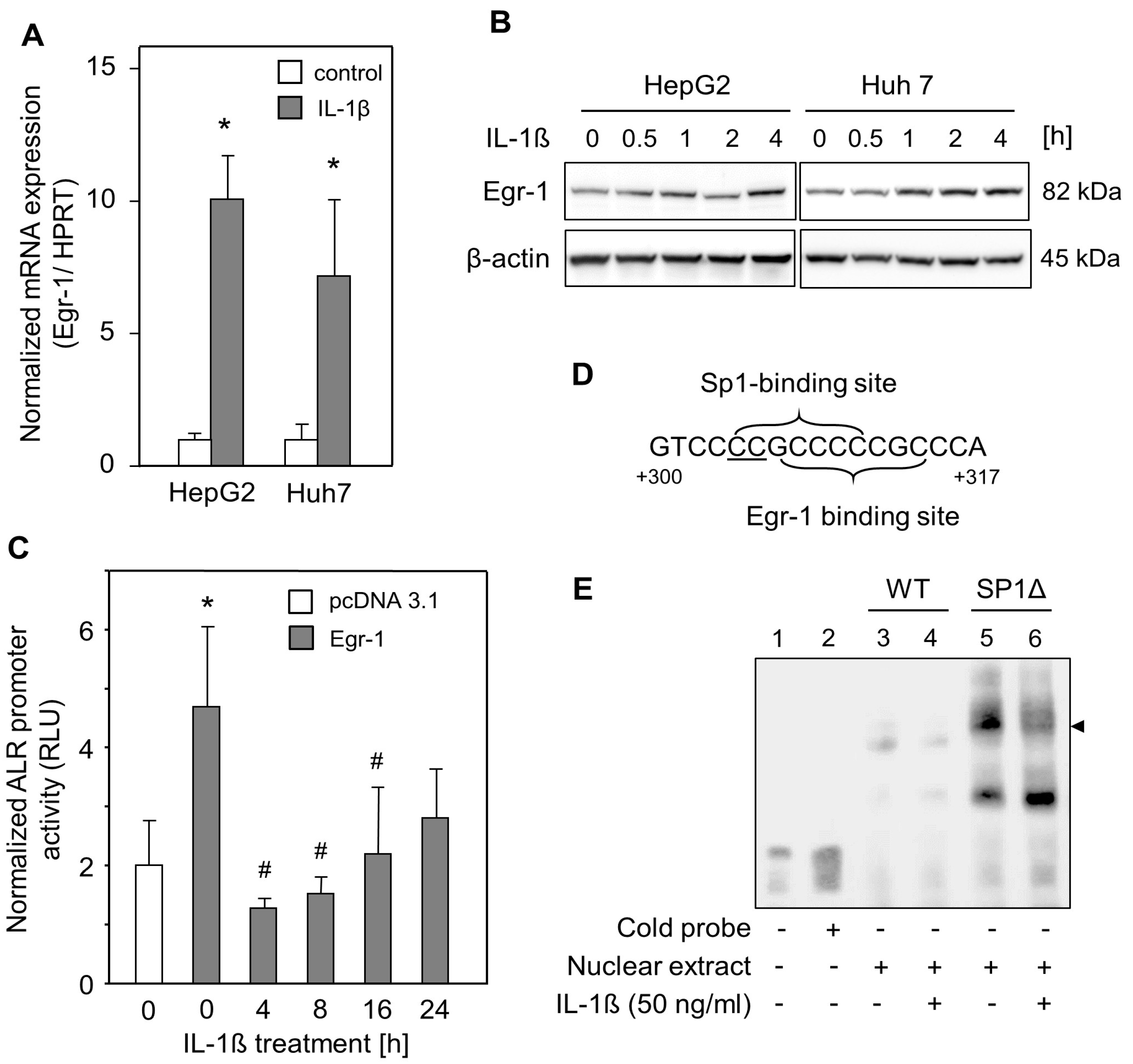 Ijms 24 08107 g003 Ijms 24 08107 g003
