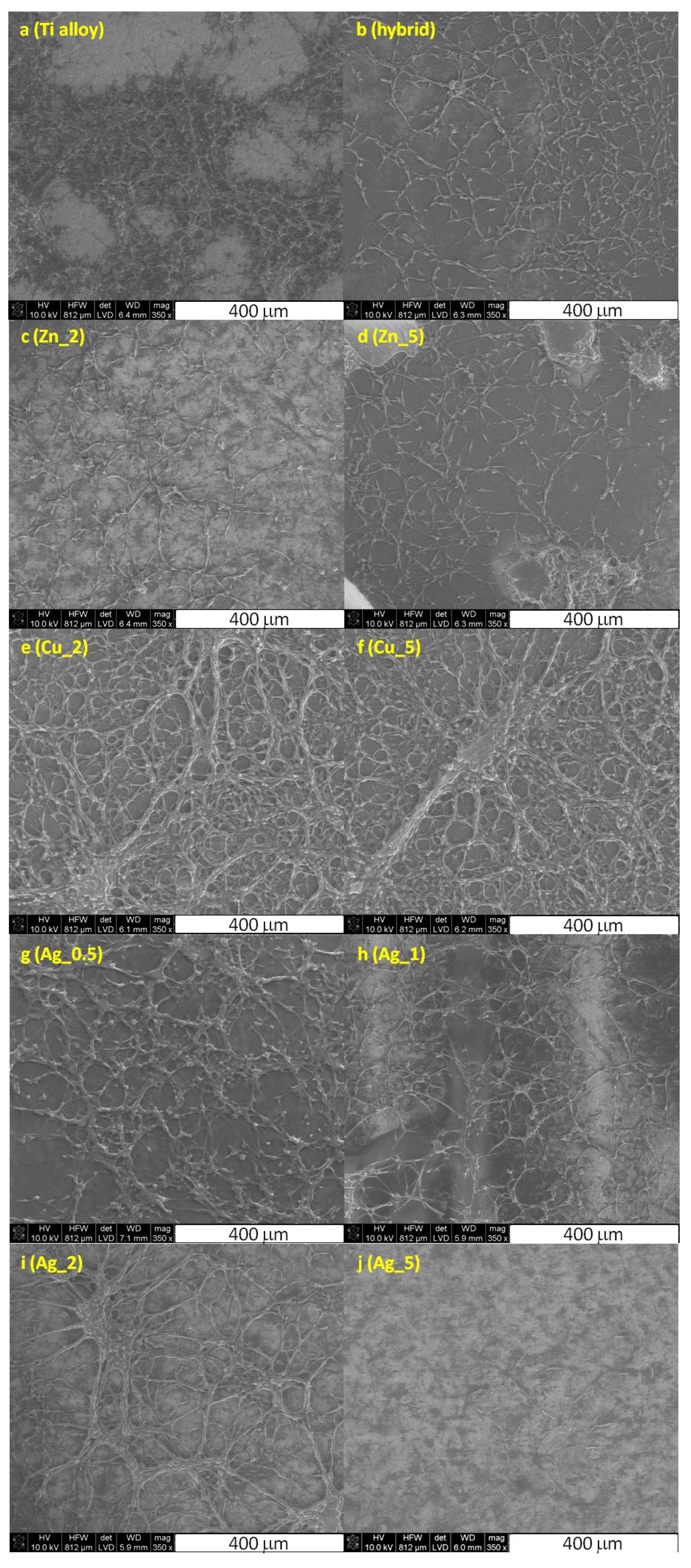 Ijms 24 08114 g003 Ijms 24 08114 g003