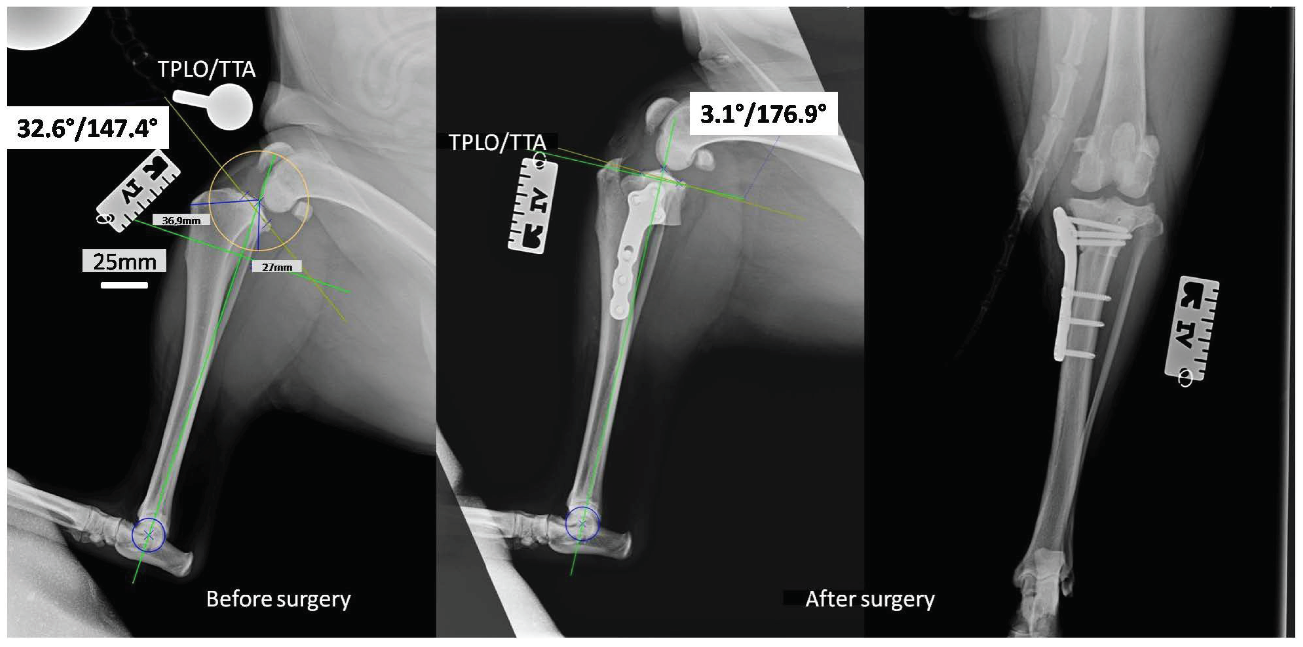 Ijms 24 08114 g005 Ijms 24 08114 g005