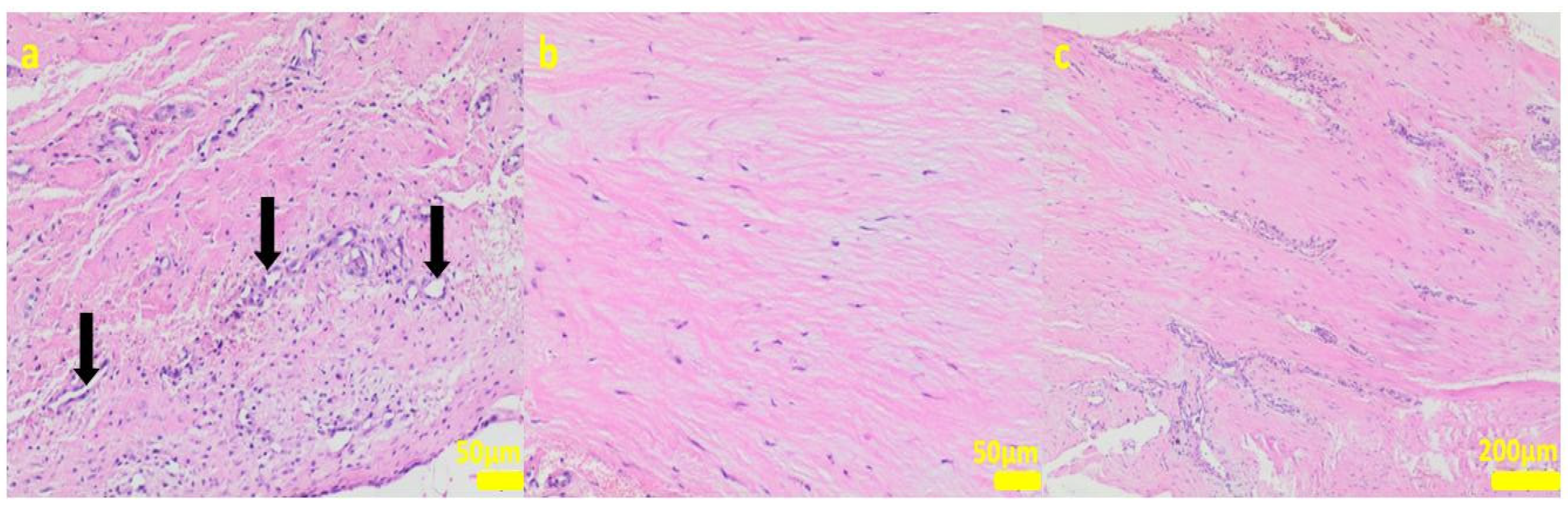 Ijms 24 08114 g007 Ijms 24 08114 g007