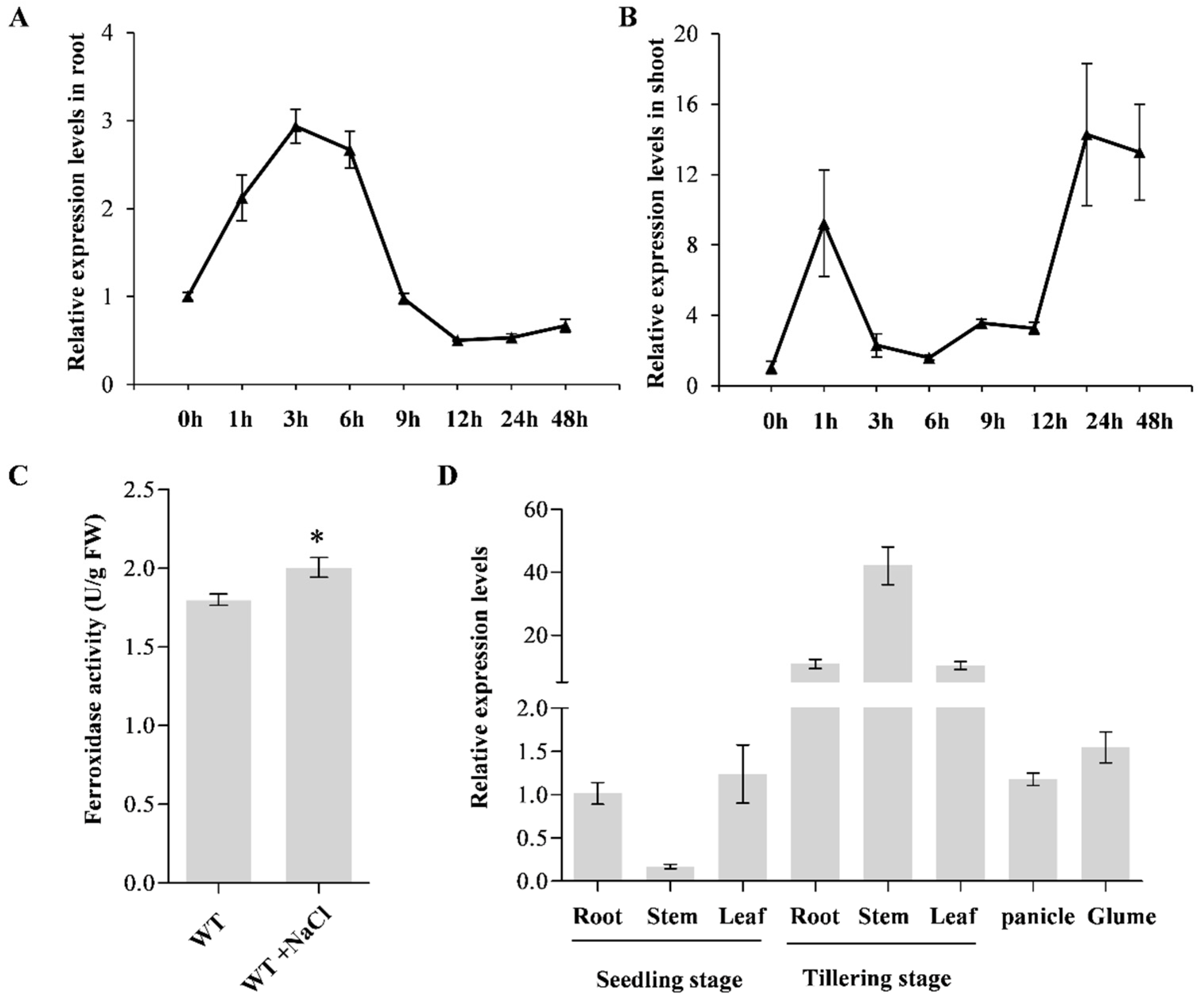 Ijms 24 08115 g001 Ijms 24 08115 g001