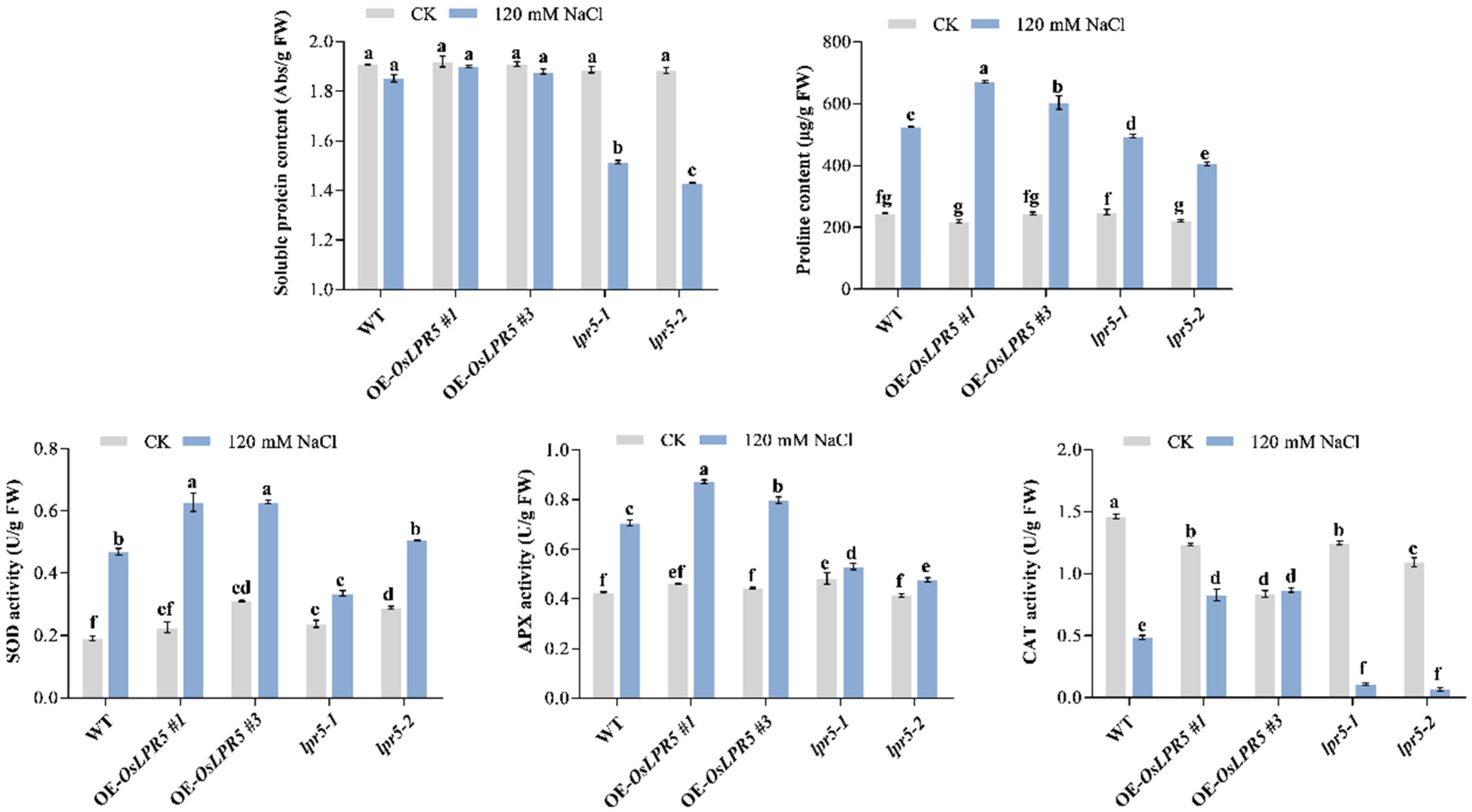 Ijms 24 08115 g004 Ijms 24 08115 g004