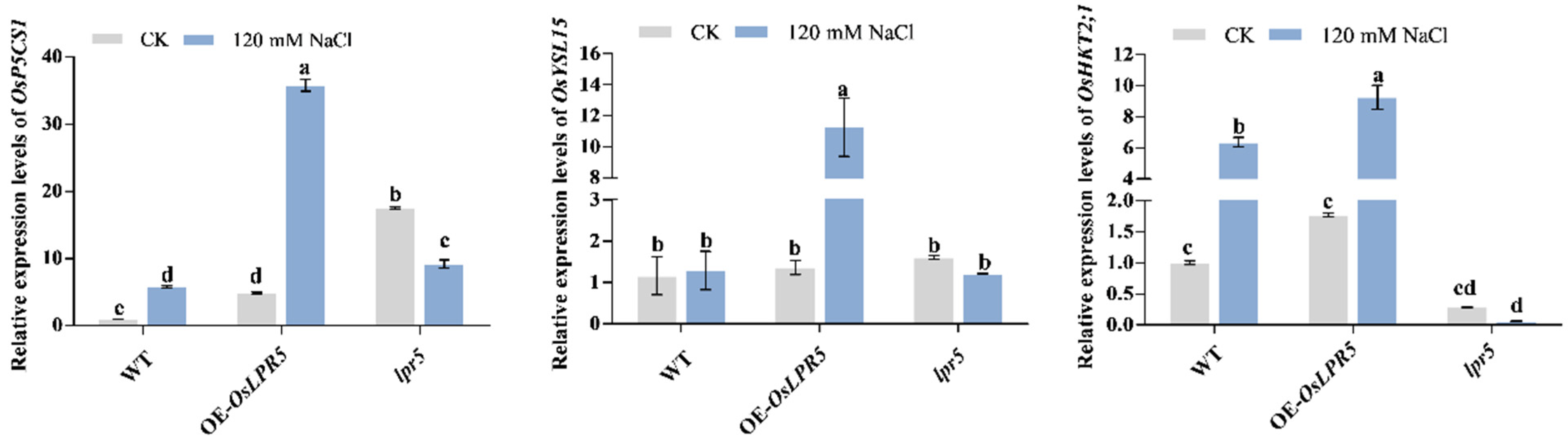 Ijms 24 08115 g006 Ijms 24 08115 g006
