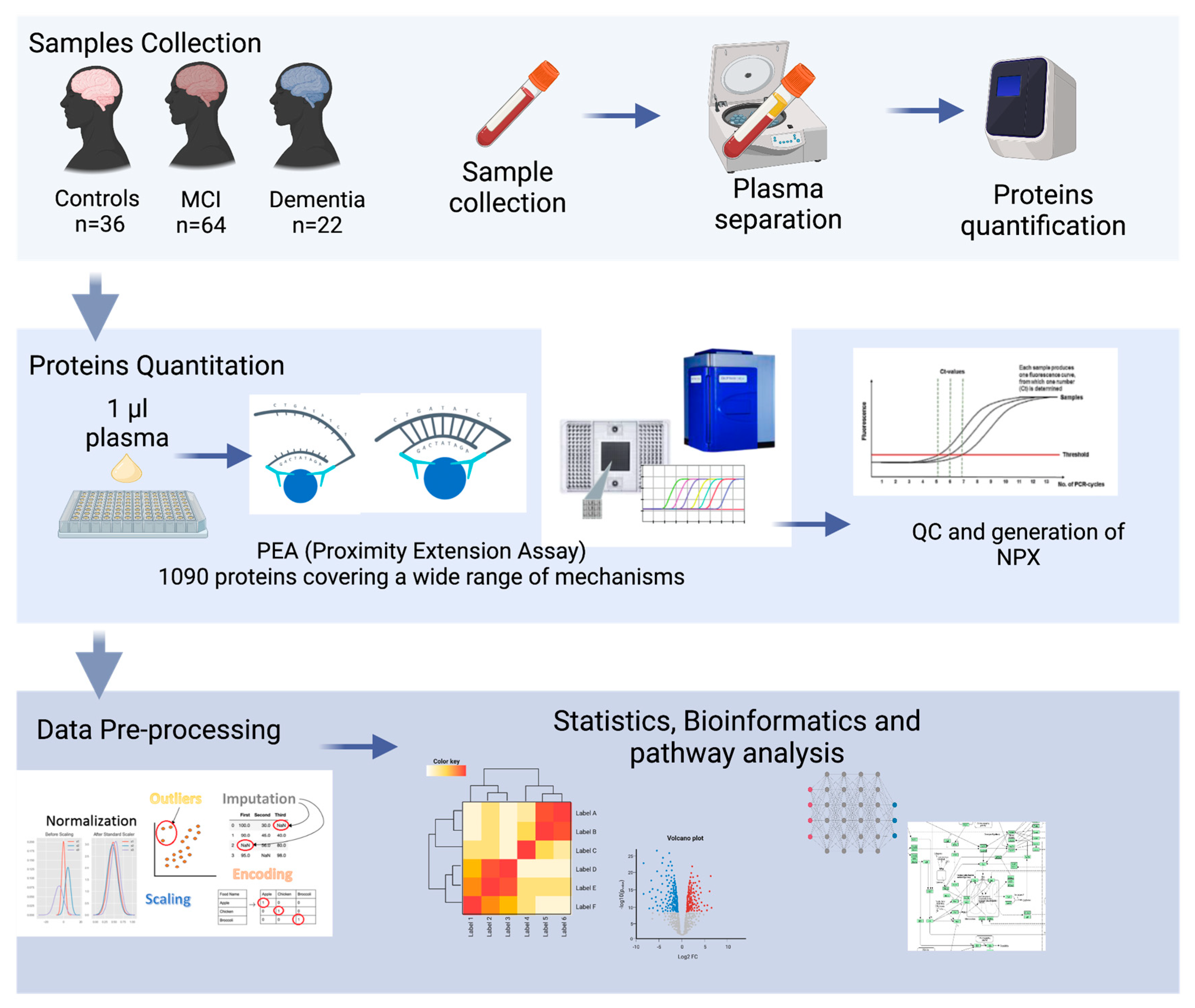 Ijms 24 08117 g001 Ijms 24 08117 g001