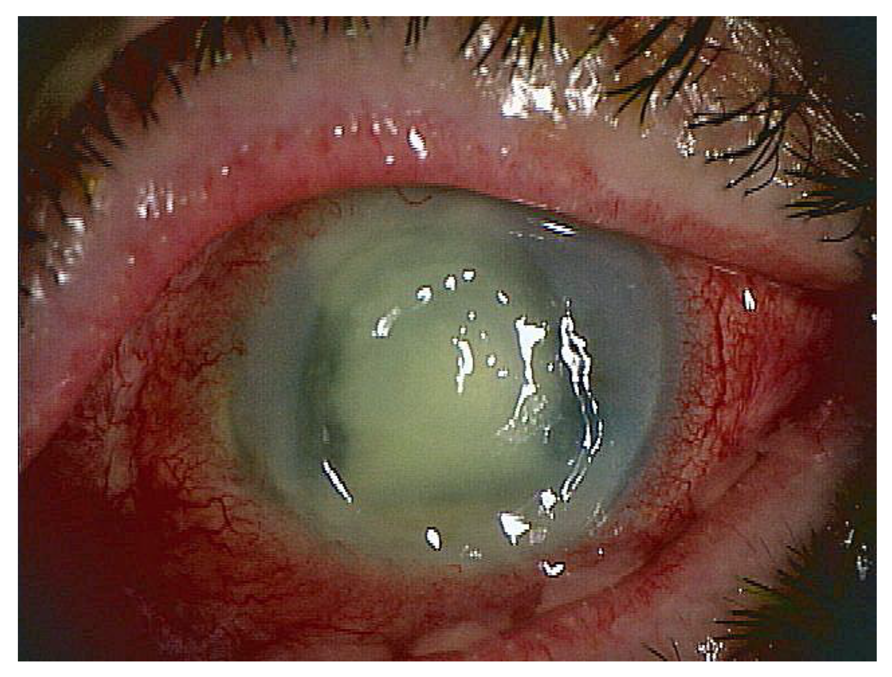 Ijms 24 08146 g002 Ijms 24 08146 g002