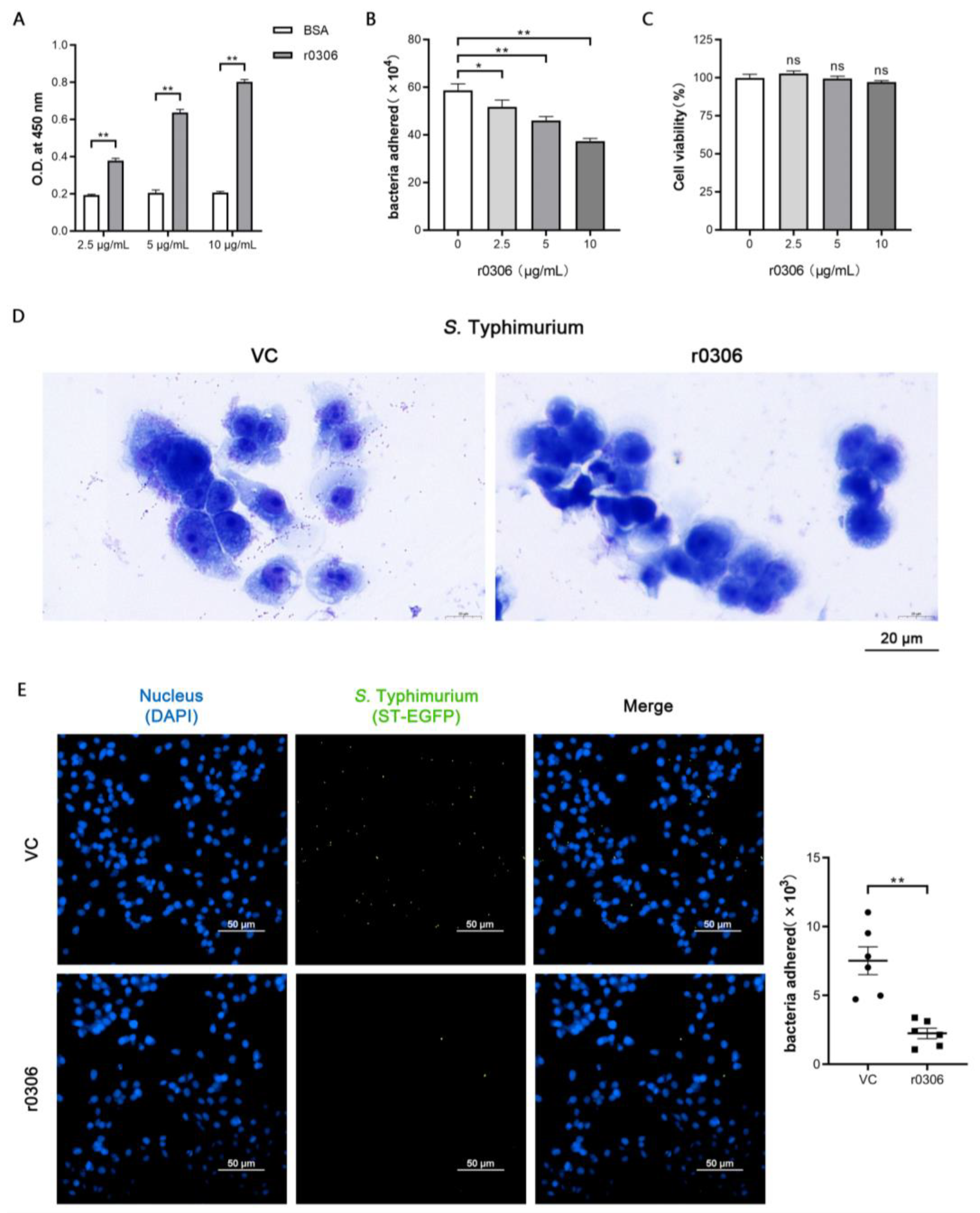 Ijms 24 08170 g004 Ijms 24 08170 g004